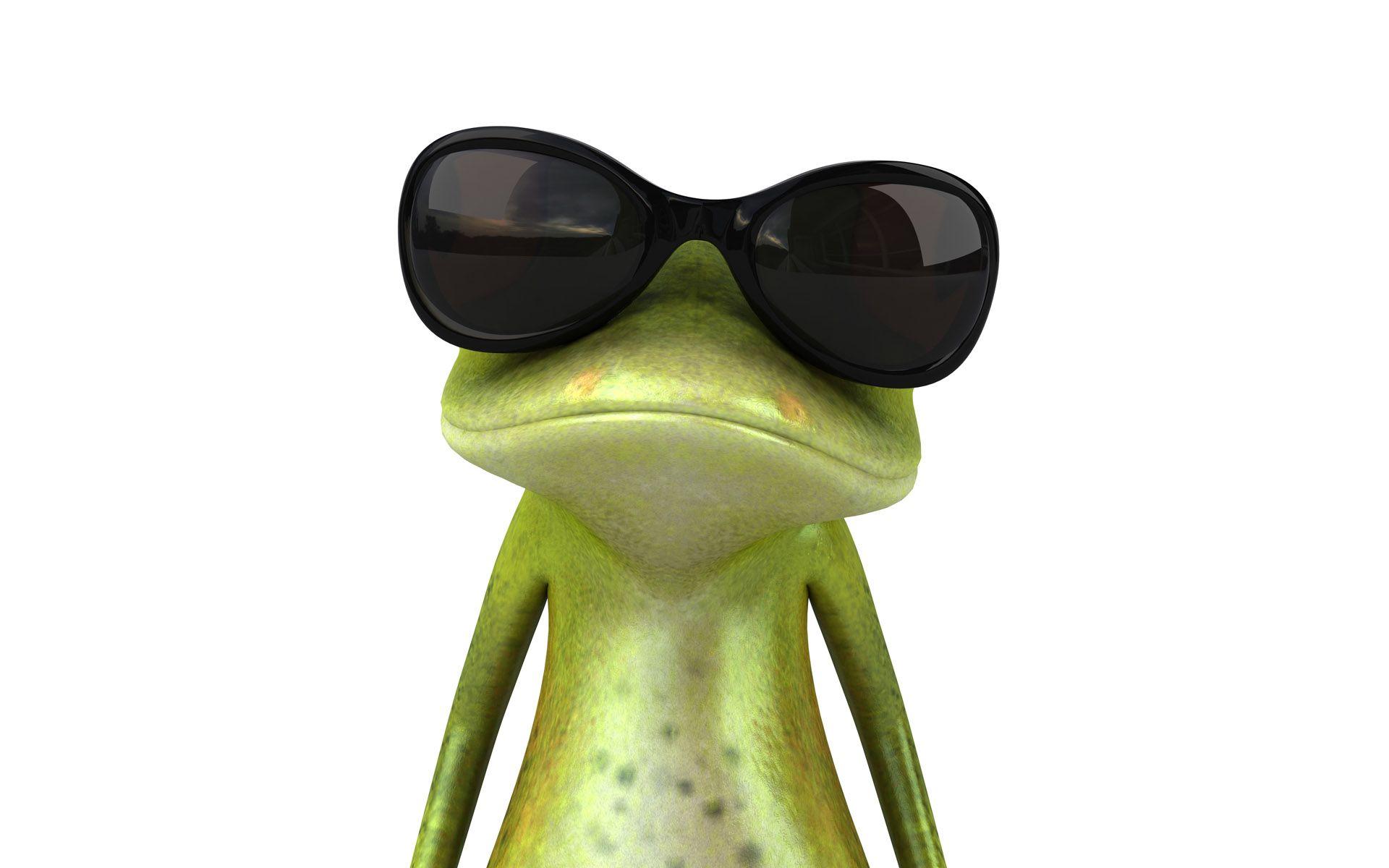 1920x1200 Desktop Wallpaper Frogs 3D Graphics eyeglasses Animals White