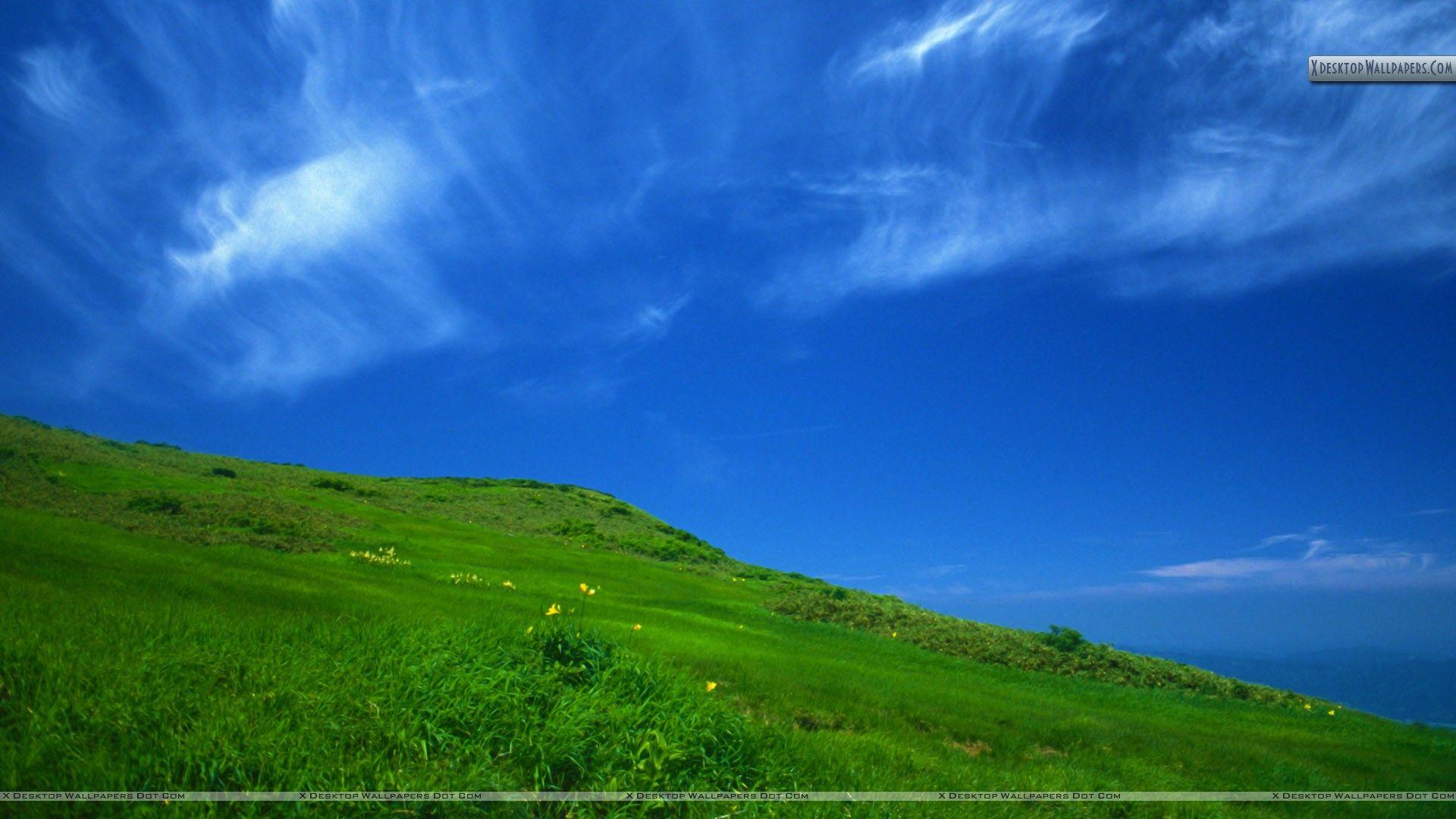 1920x1080 Sunny Sky Wallpaper