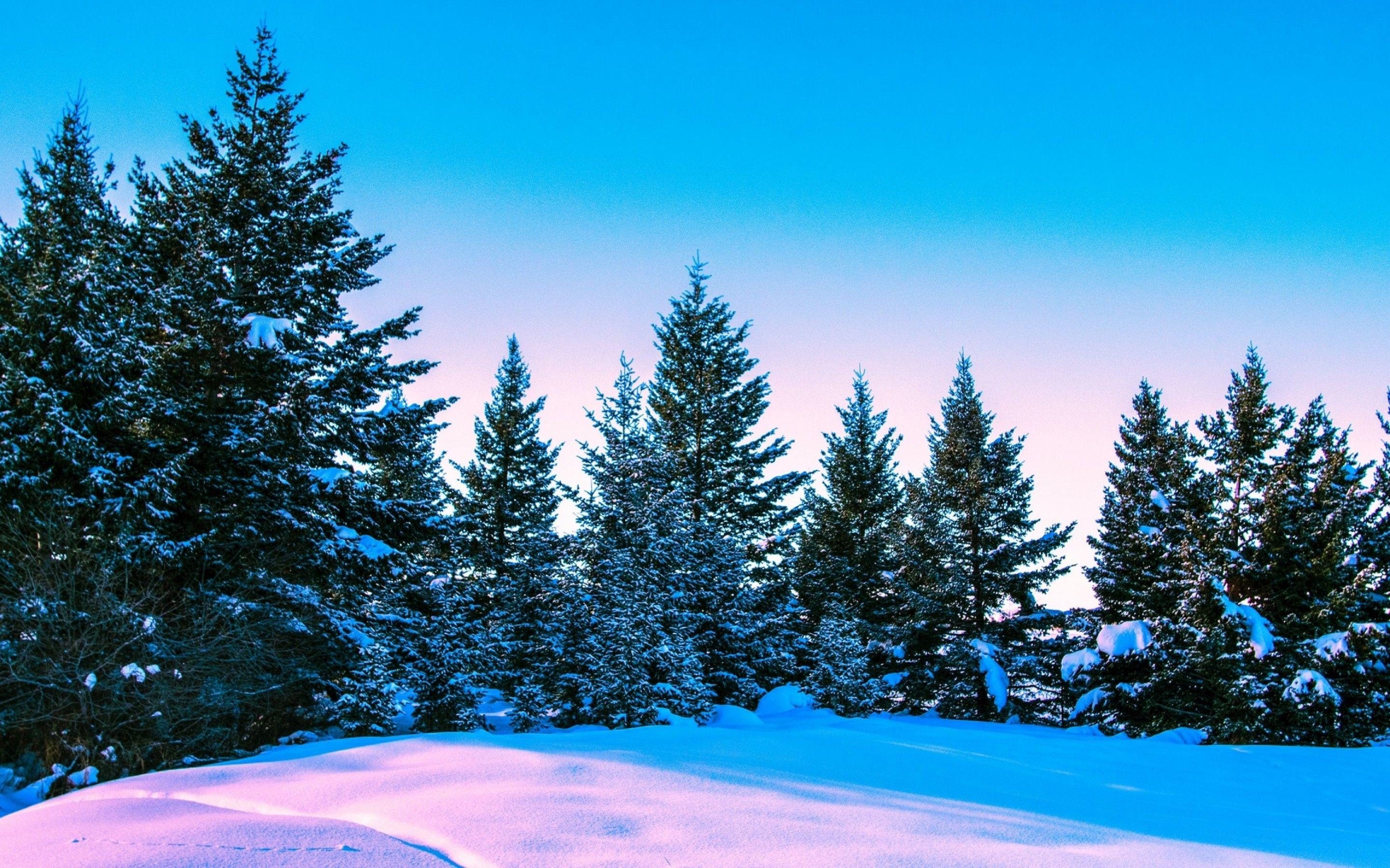 2880x1800 Bright sky on a wintery day HD Wallpaper 15 Retina Macbook Pro
