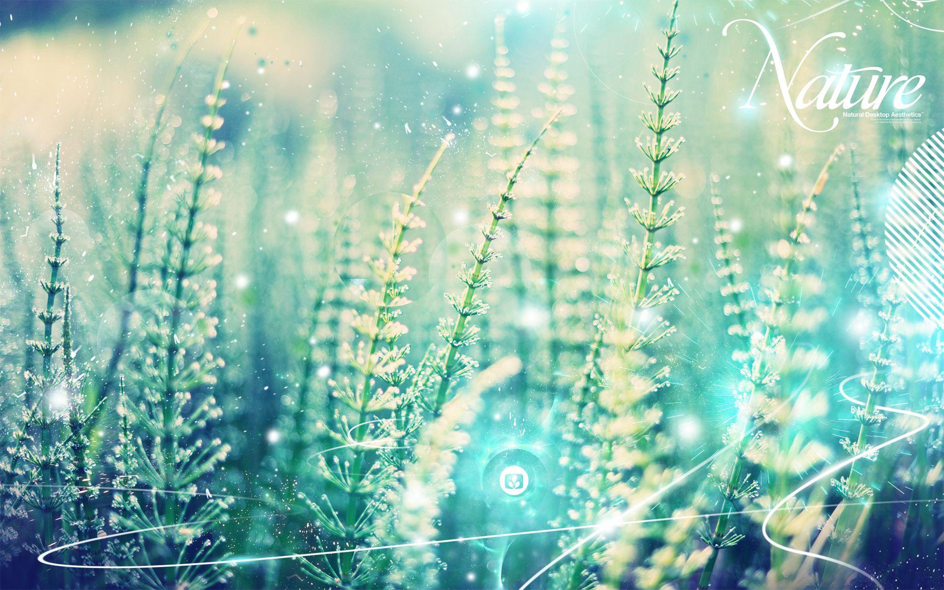 1920x1200 Aesthetic Nature Wallpaper 1920x1200 56451