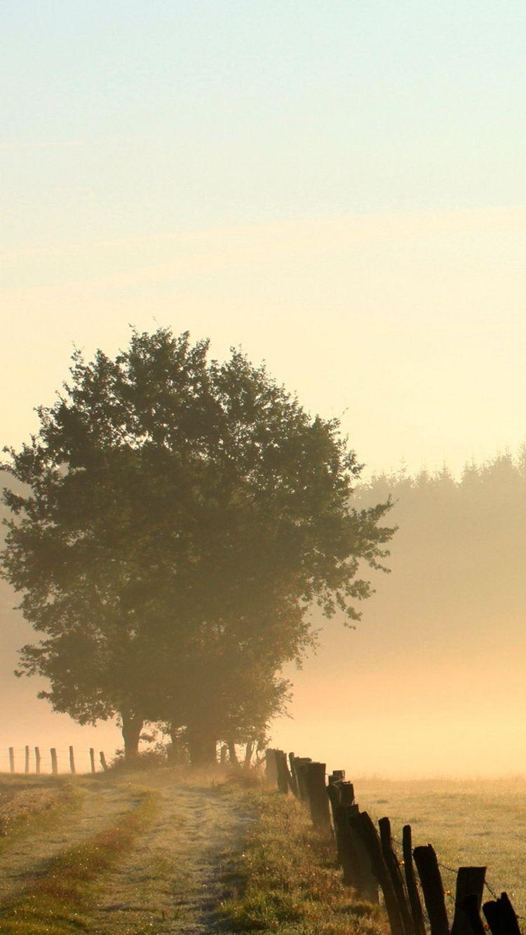 750x1334 Foggy Countryside Morning iPhone 6 Wallpaper HD Download