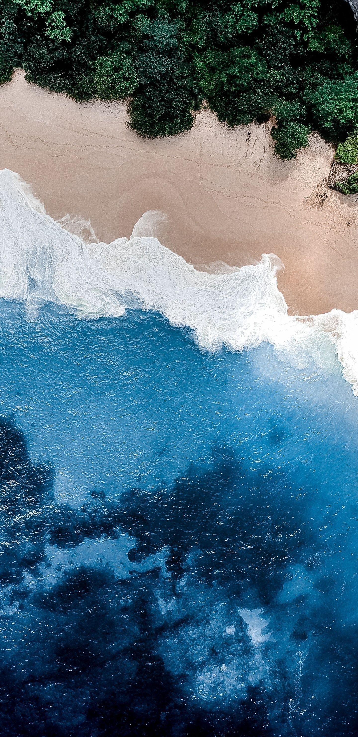 1440x2960 Nature Water Beach Trees 4k Samsung Galaxy Note S9