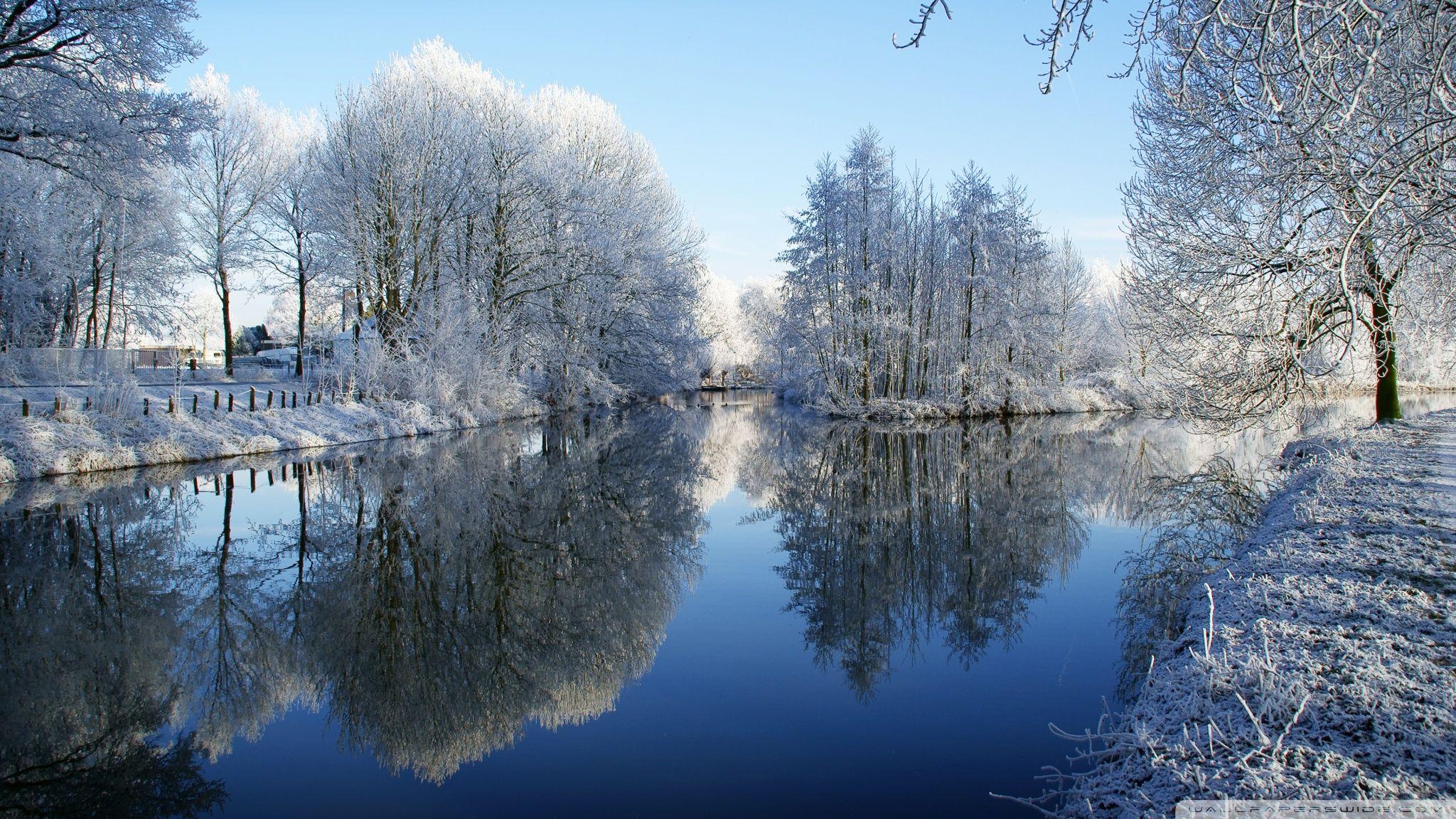 2048x1152 Frozen Trees Reflected In Water Ultra HD Desktop Background