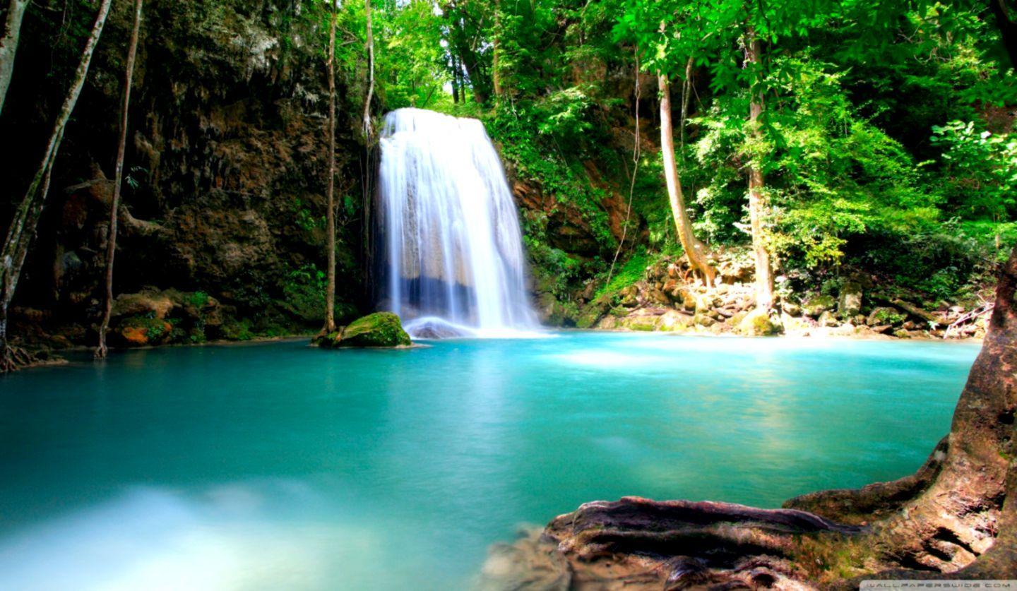1440x837 Wallpaper HD Summer Image