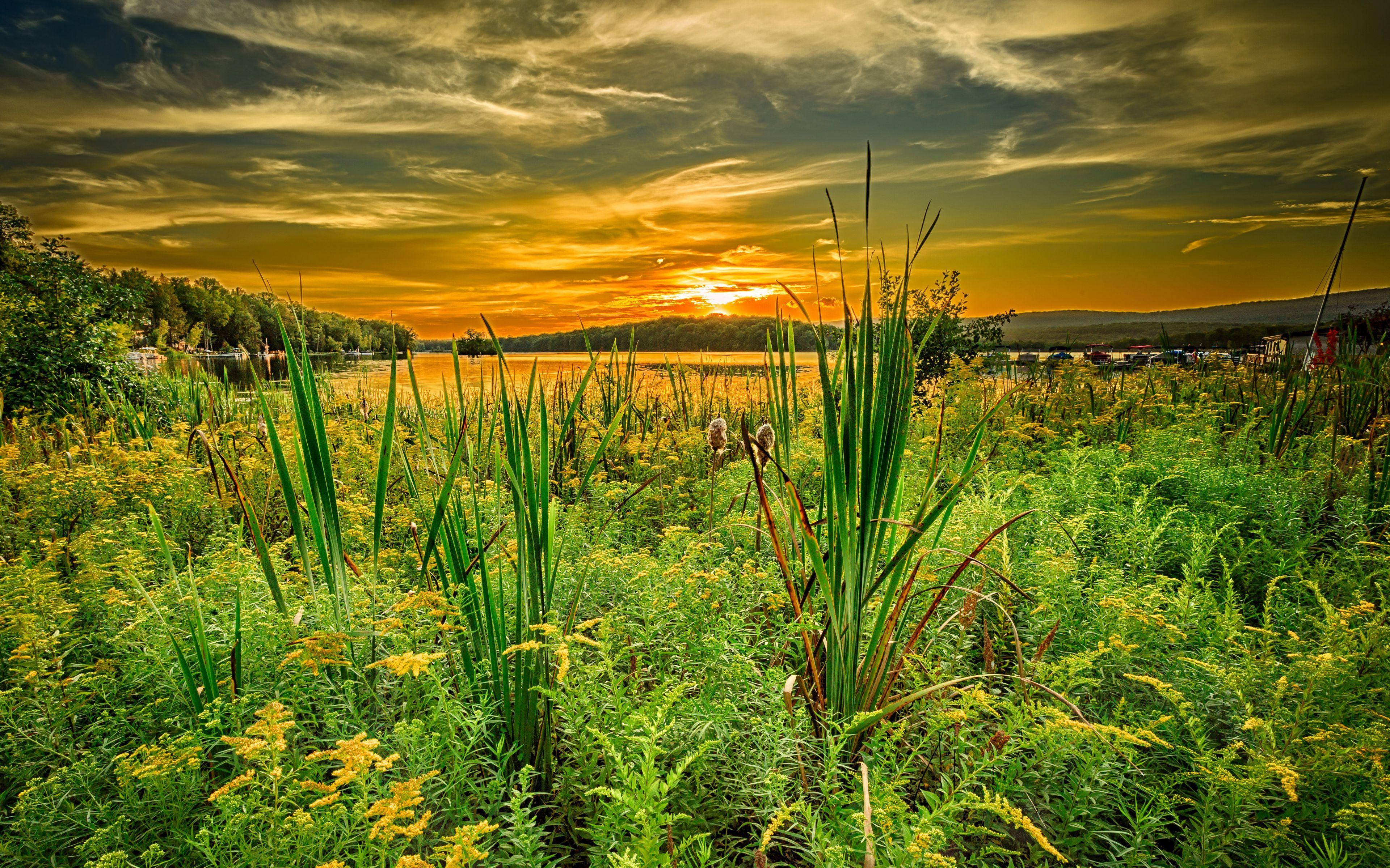 3840x2400 Download wallpaper 3840x2400 grass, river, sunset, horizon, summer