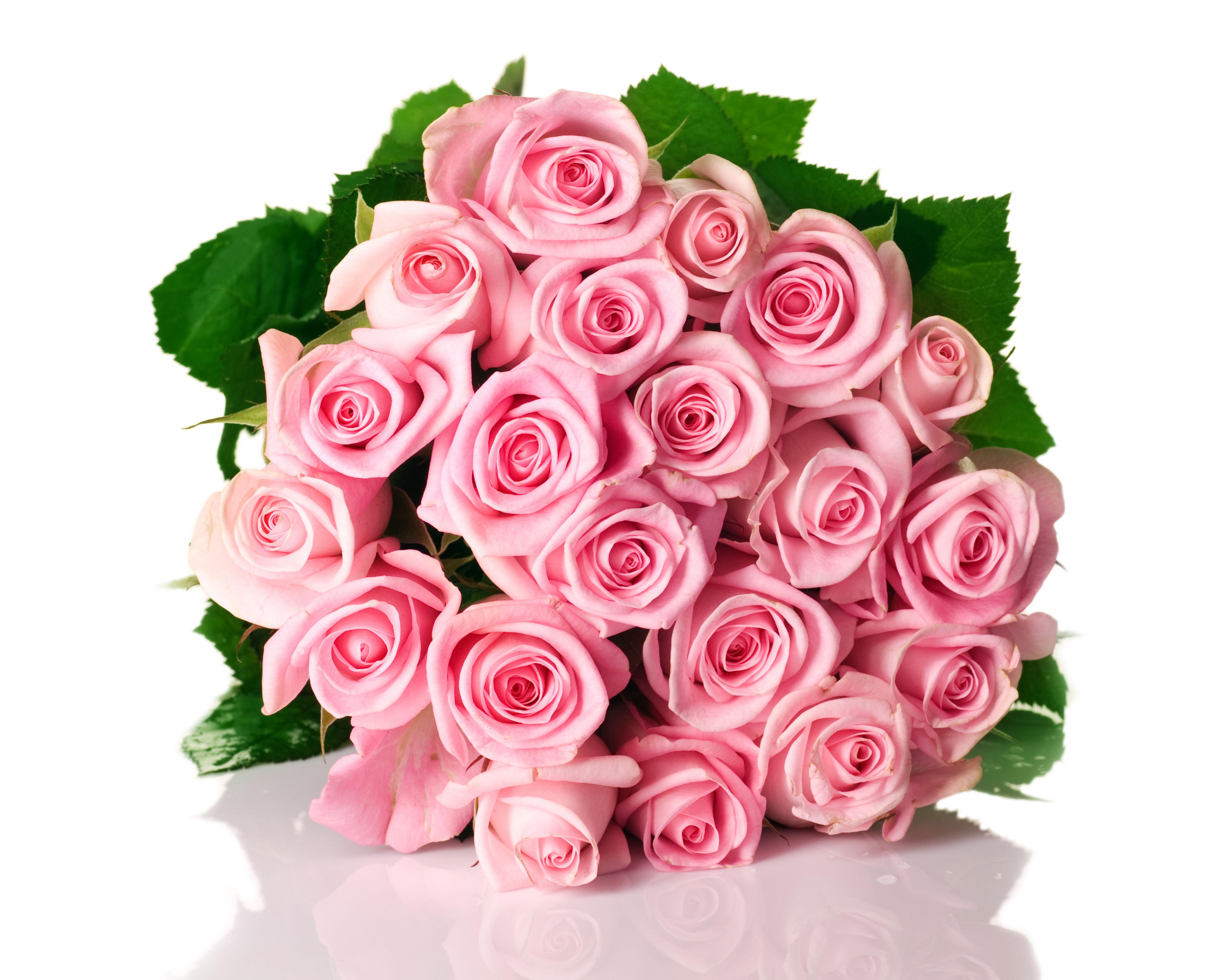 6000x4800 Picture Bouquets Roses Pink color Flowers Many White 6000x4800