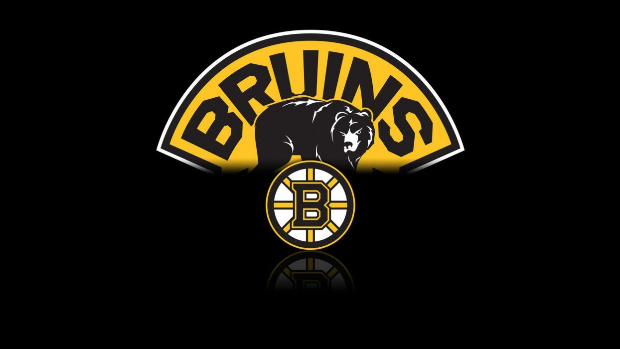 1244x700 BOSTON BRUINS nhl hockey (40) wallpaperx1080