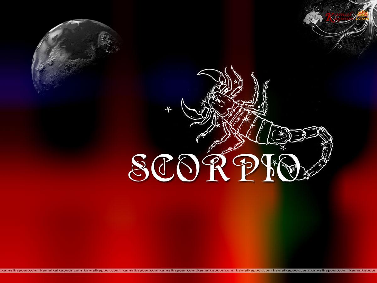 Скорпион ревнует. Scorpio надпись. Scorpio обои. Красивая надпись Scorpio. Скорпион знак зодиака обои.