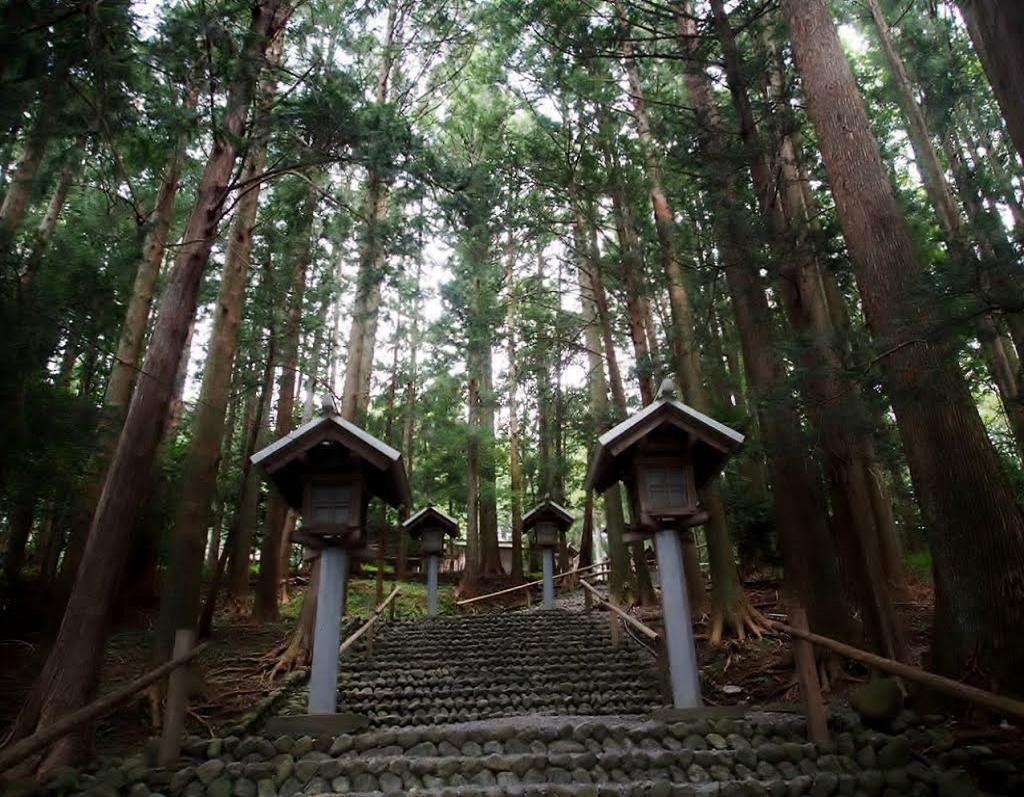 1024x797 Forests: Japanese Temple Forest Japan Shrine Lantern Picture