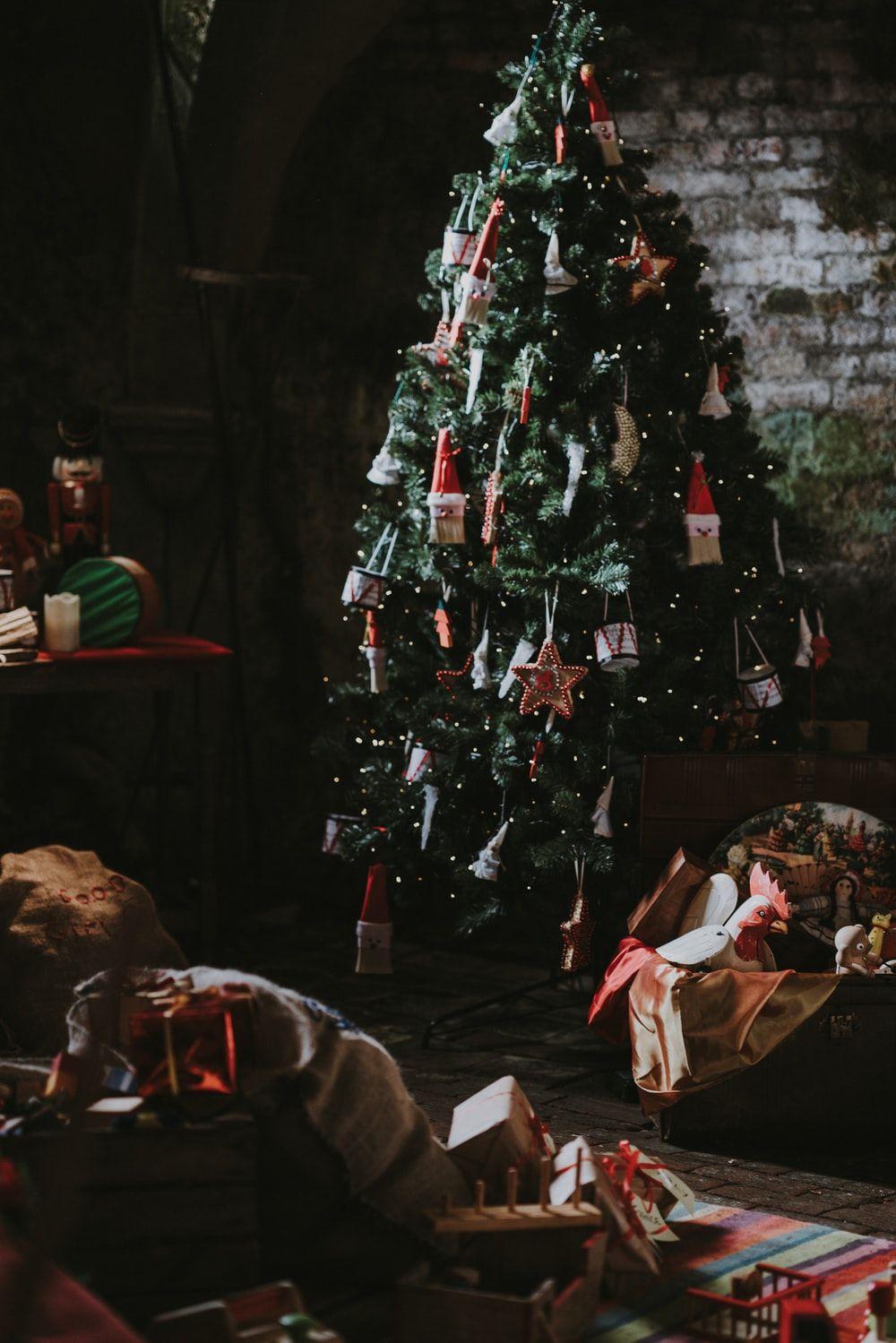 1000x1499 Christmas Picture [2020]. Download Free Image