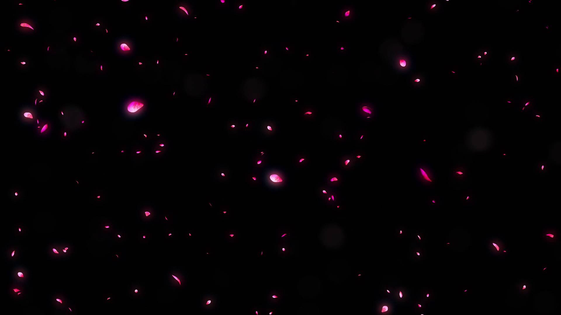 1920x1080 Background Cherry Blossom