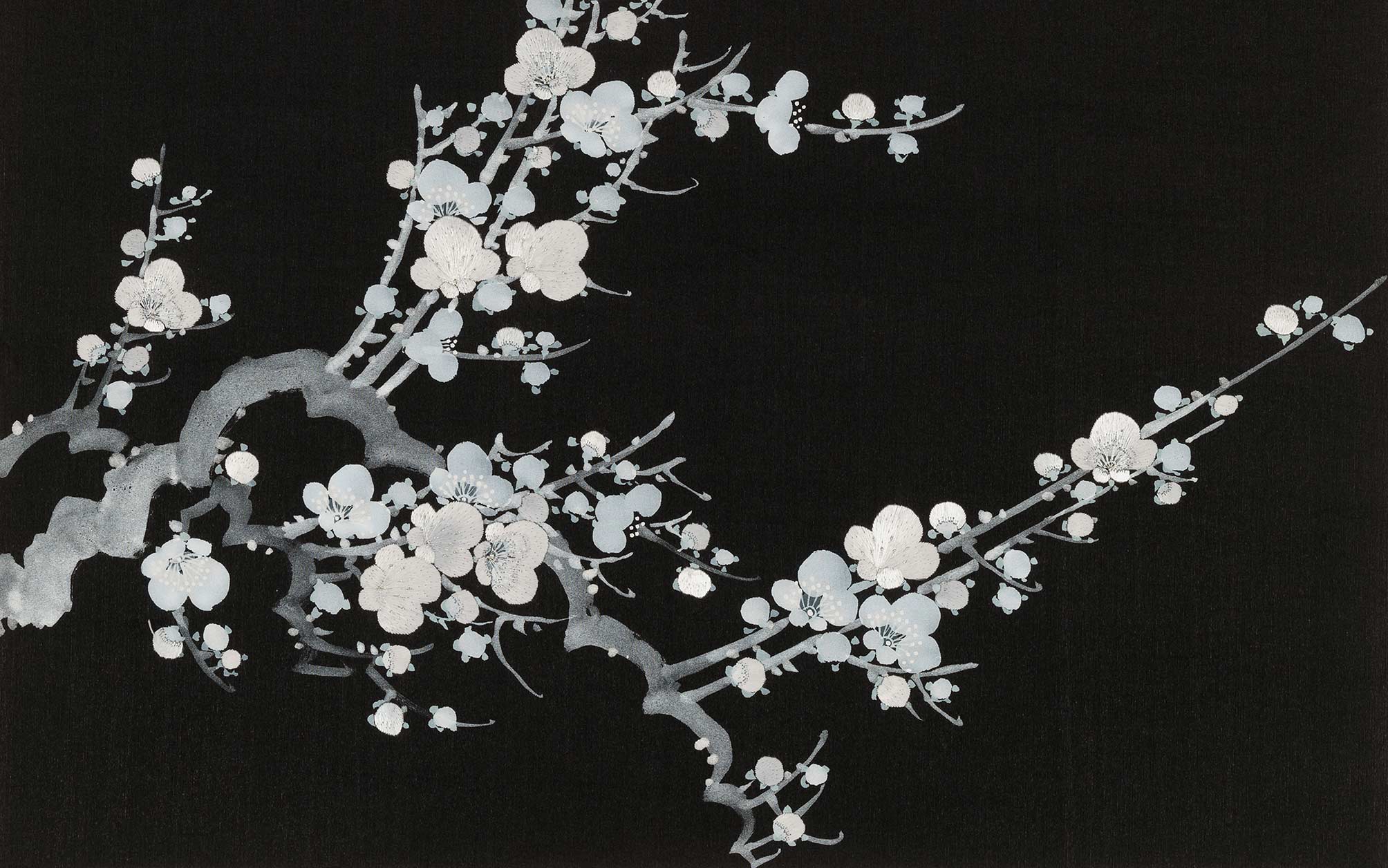 2008x1256 Prunus