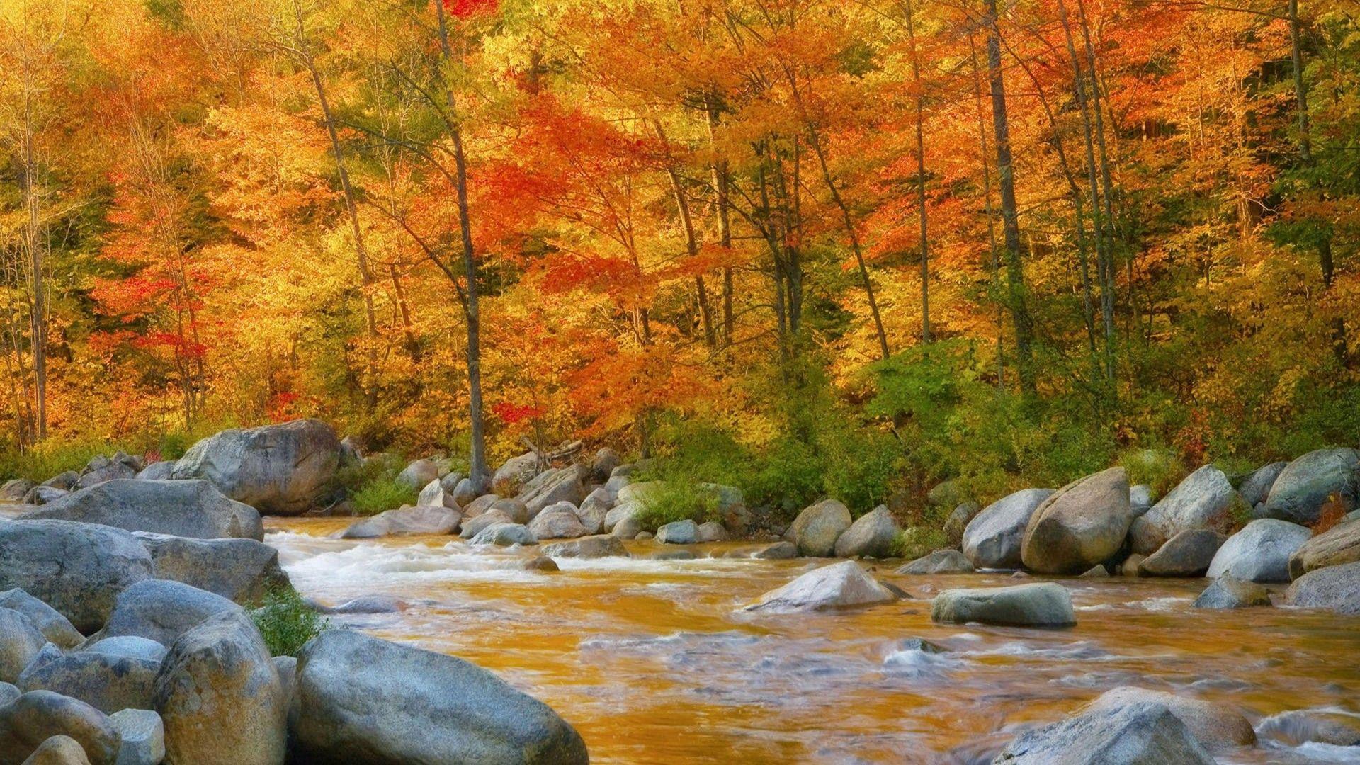 Creek X HD Nature Wallpapers Top Free Creek X HD Nature Backgrounds