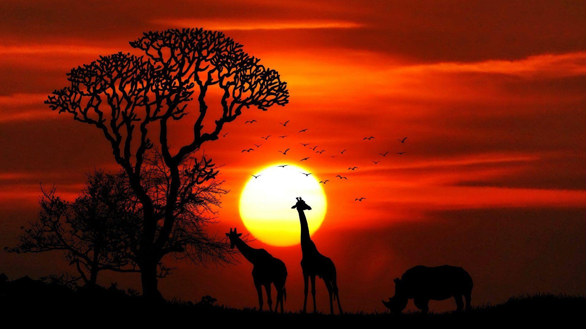 1920x1080 Free download Natural Sunset HD Wallpaper 1080p Wallpaperpit