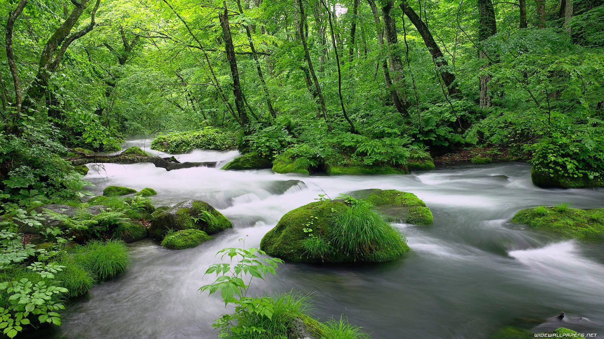 1920x1080 Rivers wallpaper desktop computer. HD nature wallpaper, Jungle