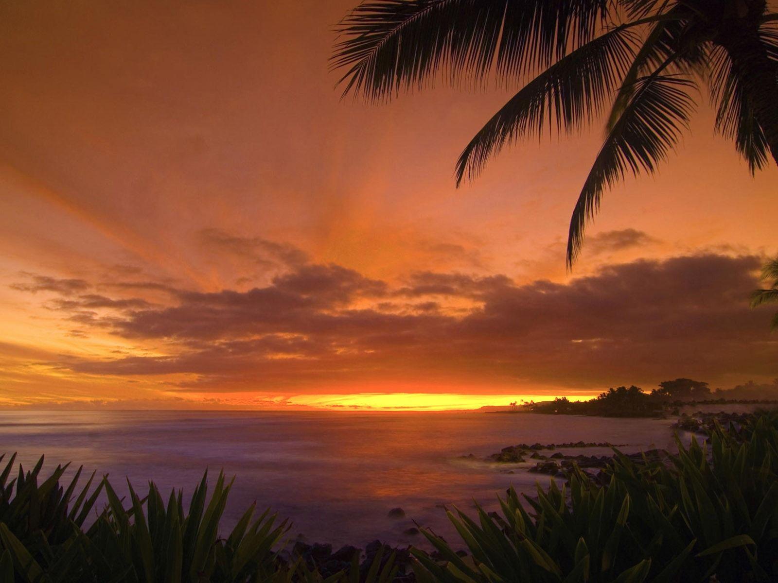 1600x1200 Tropical Sunset Wallpaper Landscape Nature Wallpaper in jpg