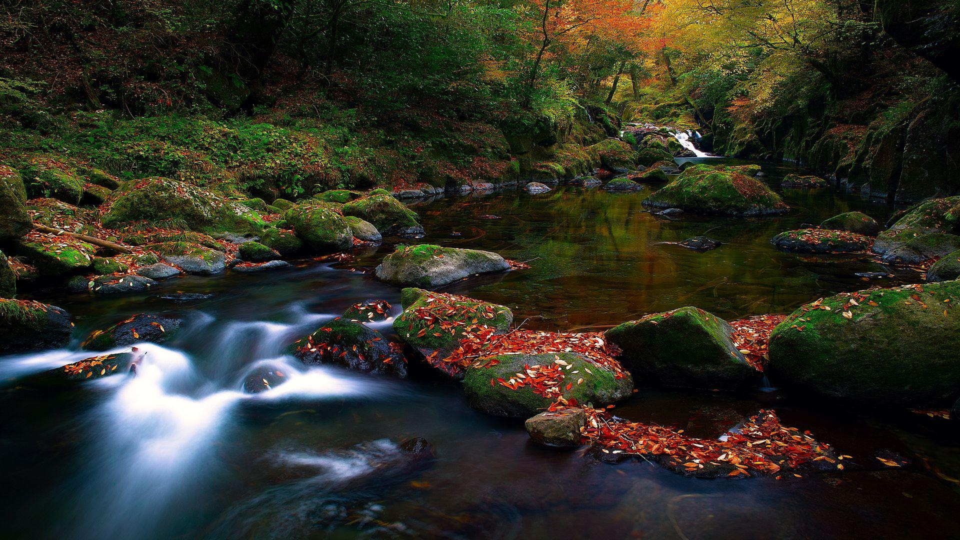 1920x1080 Free Nature Wallpaper