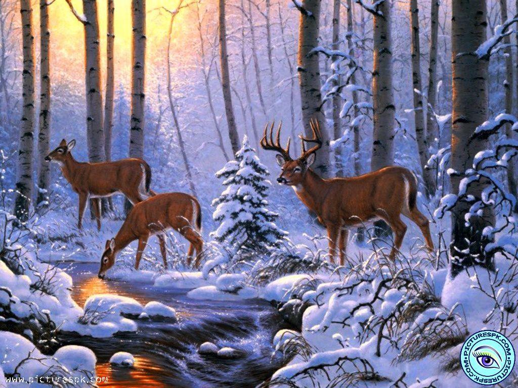 1024x768 Winter Scenes Background Group 1280×960 Winter Scenes Background