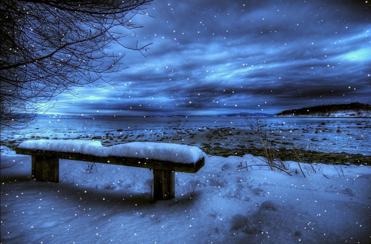 1299x855 Winter Background That Move. Cute