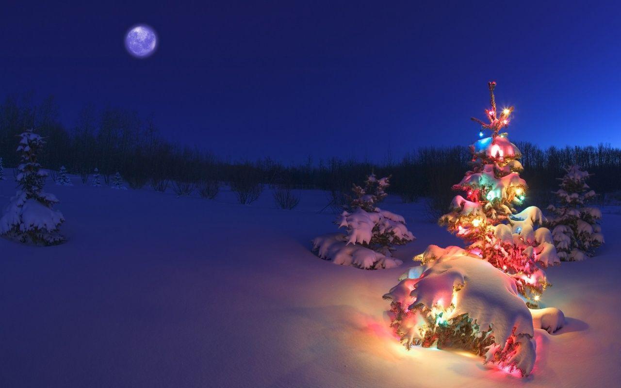 Wallpaper Christmas New Year Santa deer moon night winter house  snow 4k Holidays 16825