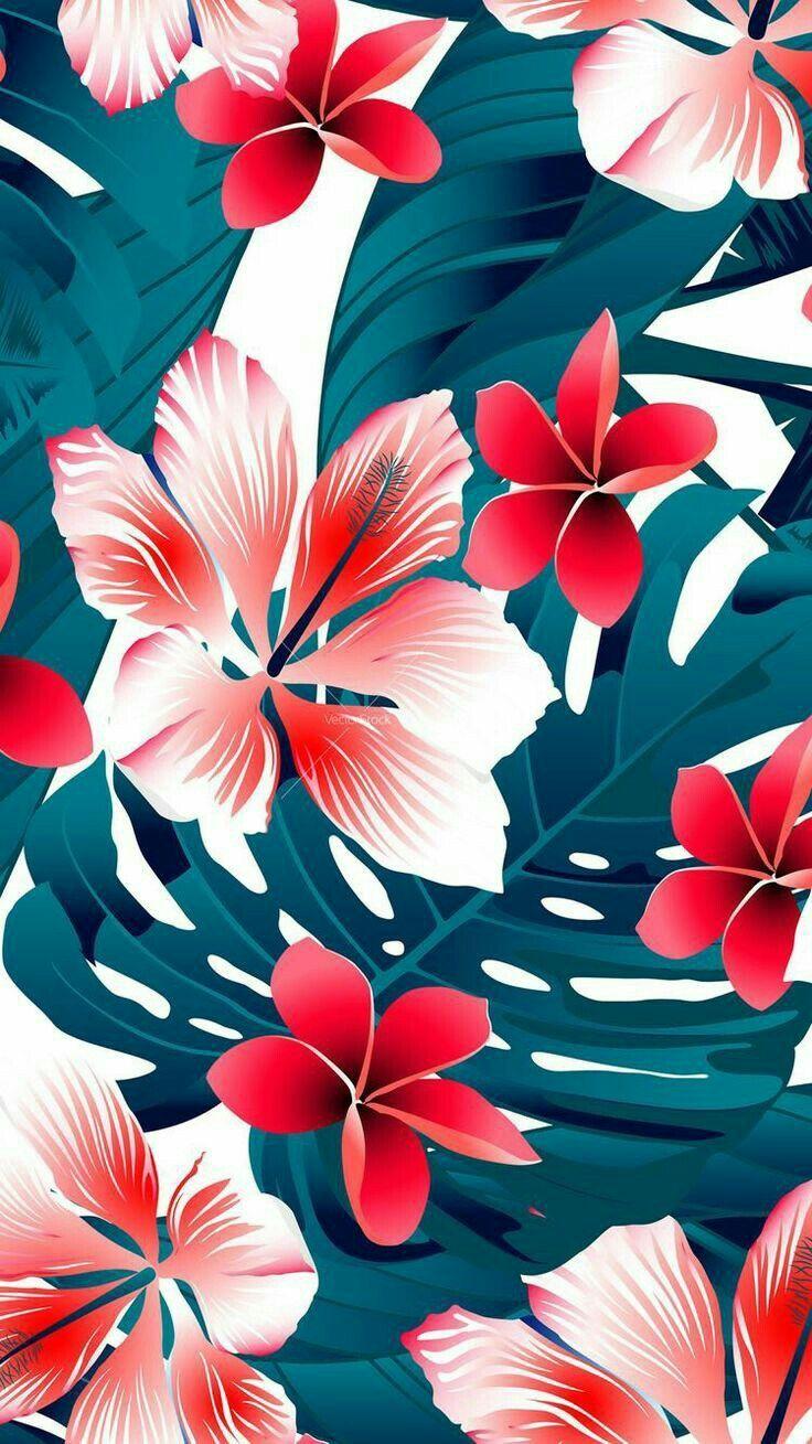 736x1309 iPhone Wallpaper. Petal, frangipani, Flower, Hawaiian hibiscus, Red, Hibiscus