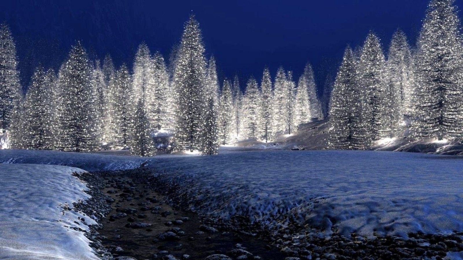 images of nighttime snow scenery