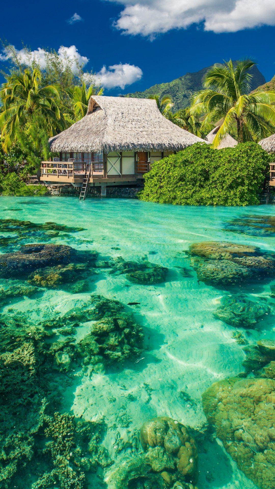 1080x1920 Beach Wallpaper iPhone 8 Plus