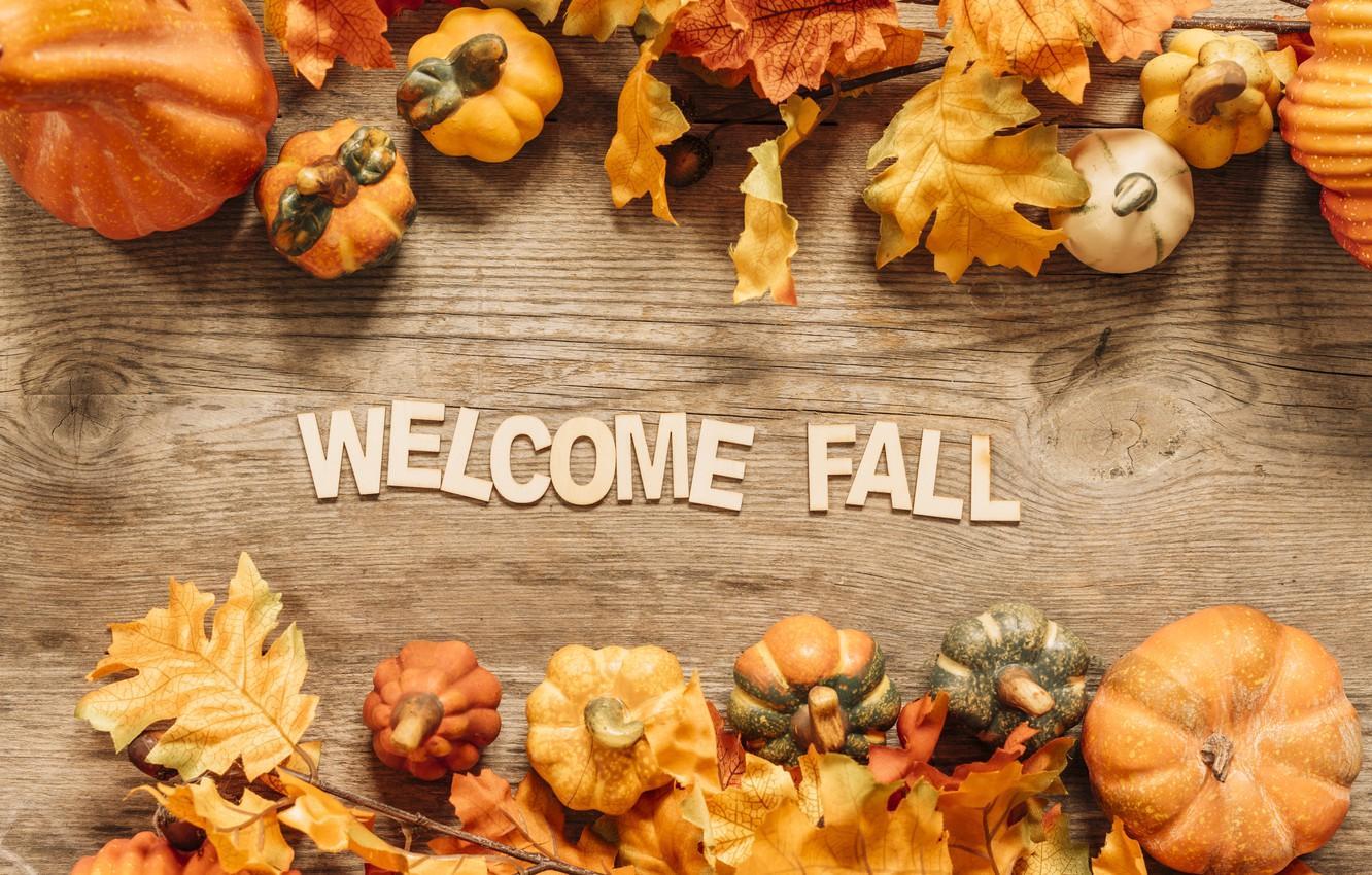 Fall Wallpapers Top Free Fall Backgrounds
