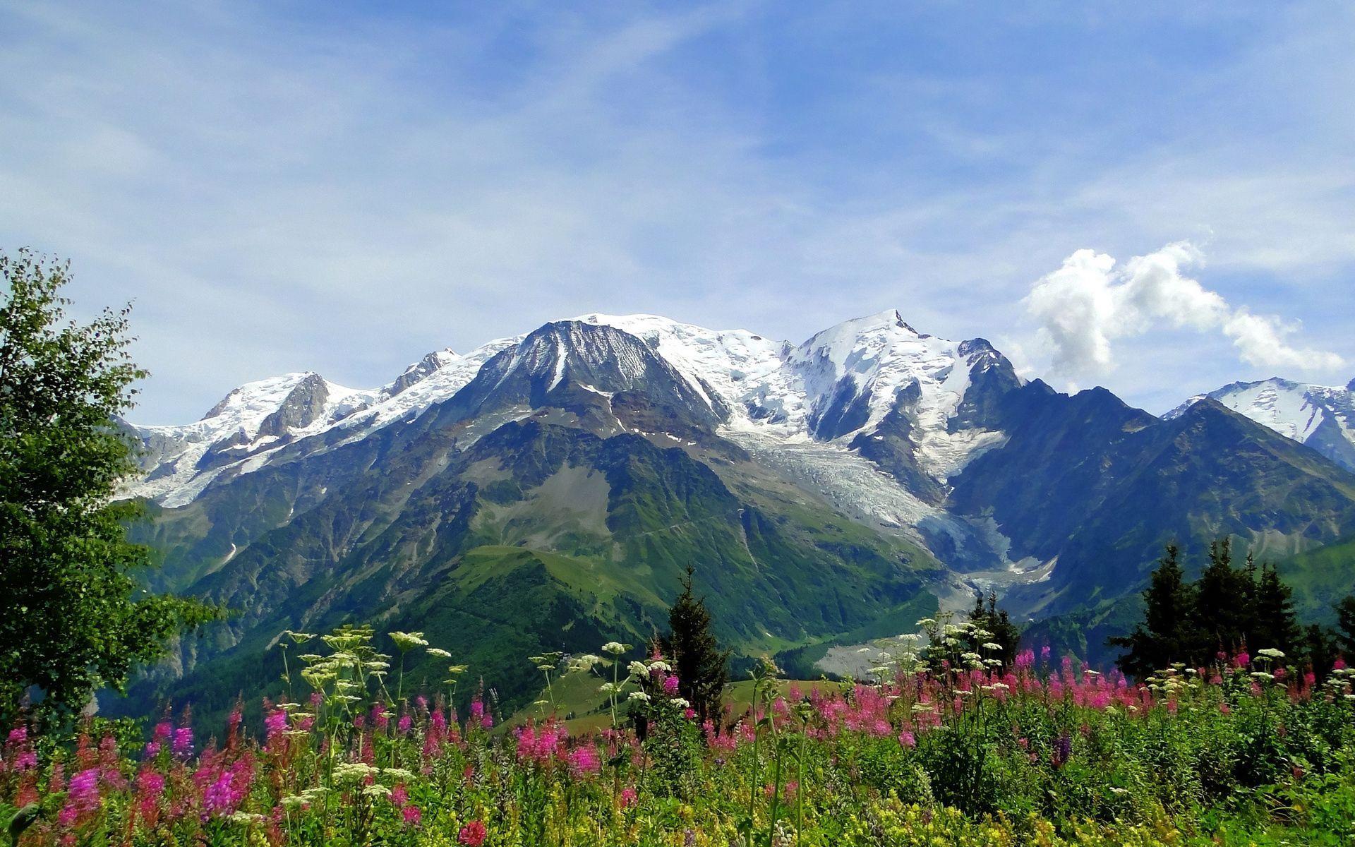 1920x1200 Download wallpaper 1920x1200 mountains, alps, flowers, tops