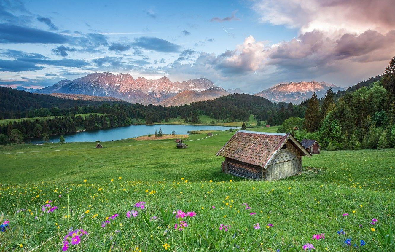 1332x850 Wallpaper field, forest, summer, the sky, clouds, landscape