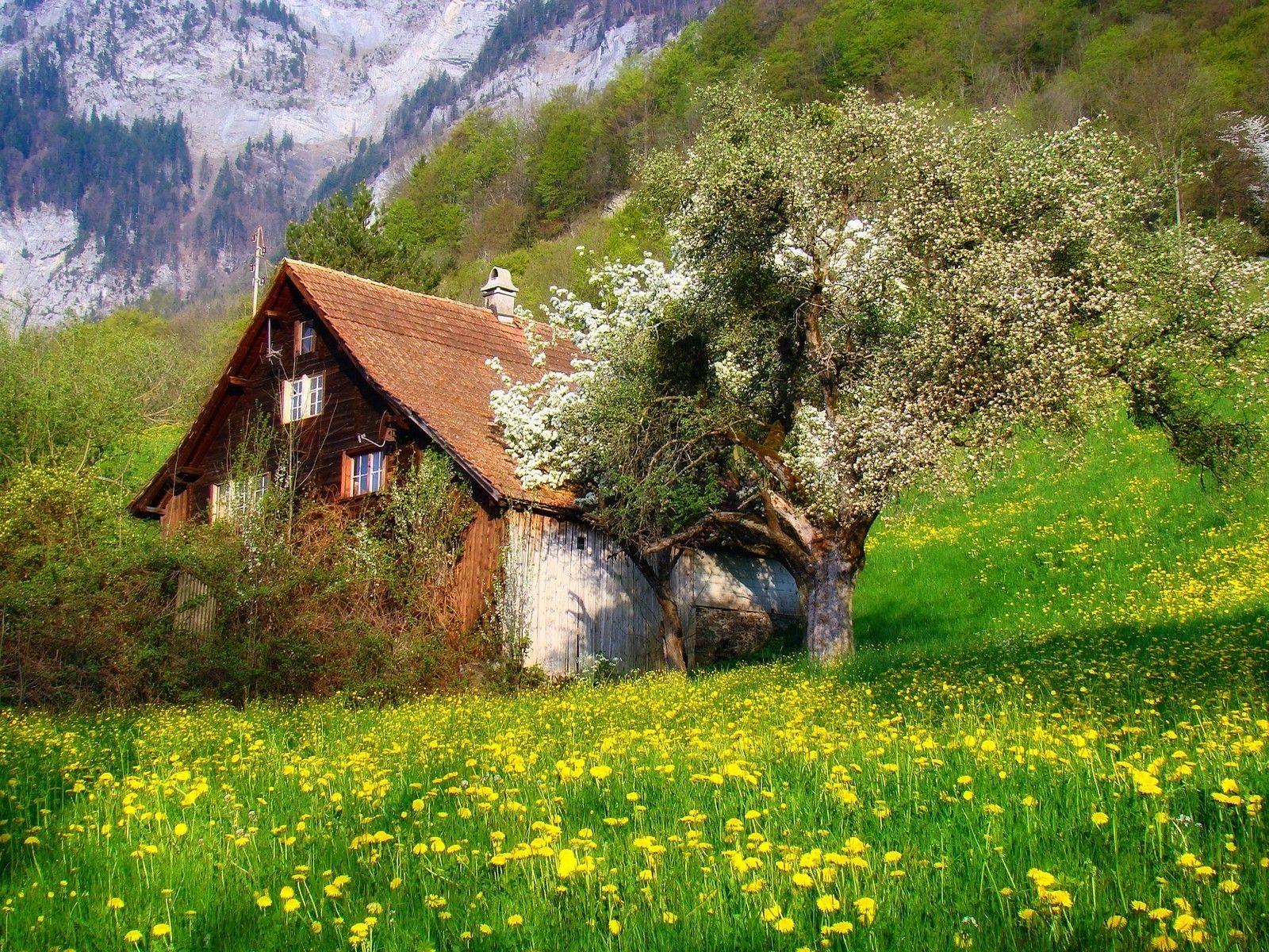1600x1200 photography, Nature, Landscape, Cottage, Flowers, Spring
