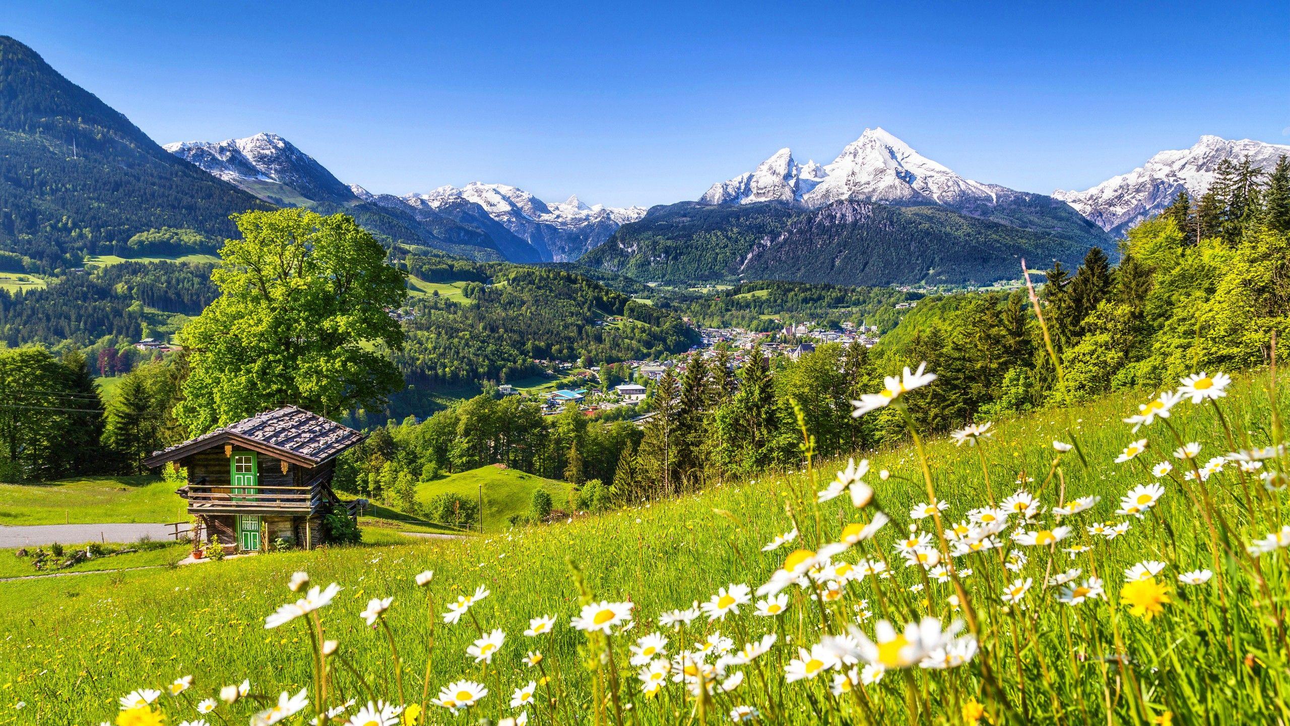2560x1440 Wallpaper Alps, 5k, 4k wallpaper, Germany, Meadows, mountains