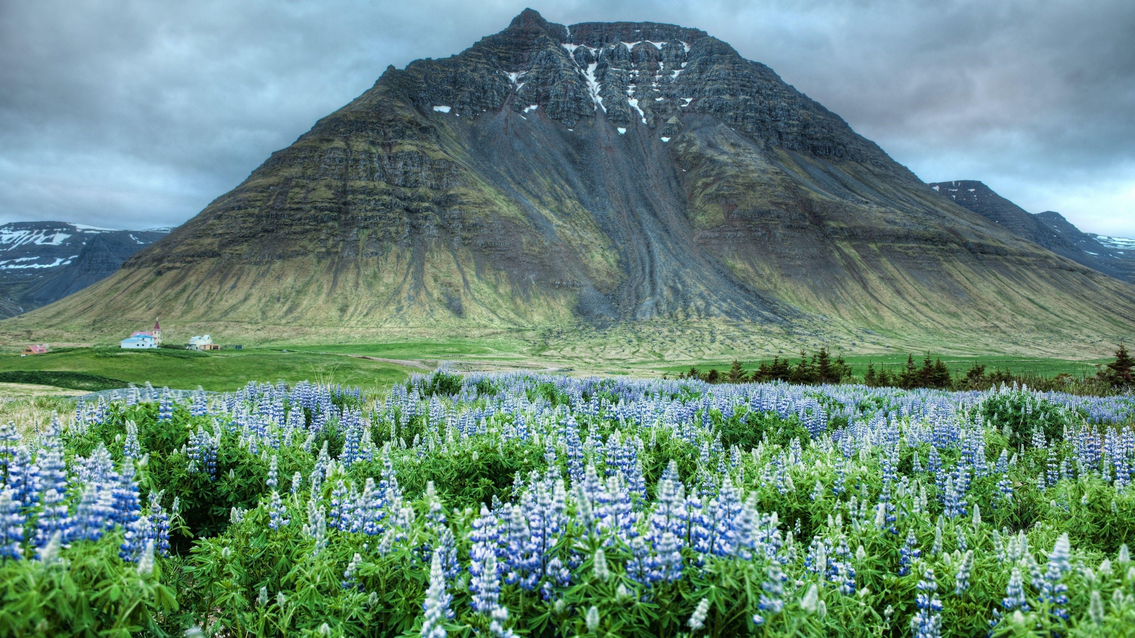 3840x2160 Wallpaper Valley of Flowers, 5k, 4k wallpaper, Himalayas