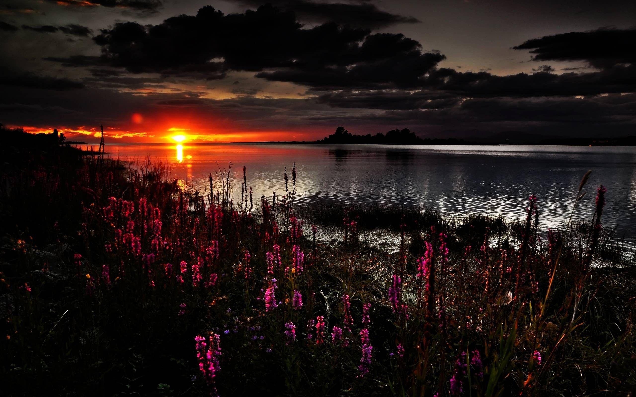 2560x1600 #lake, #clouds, #flowers, #sunset, #nature, wallpaper