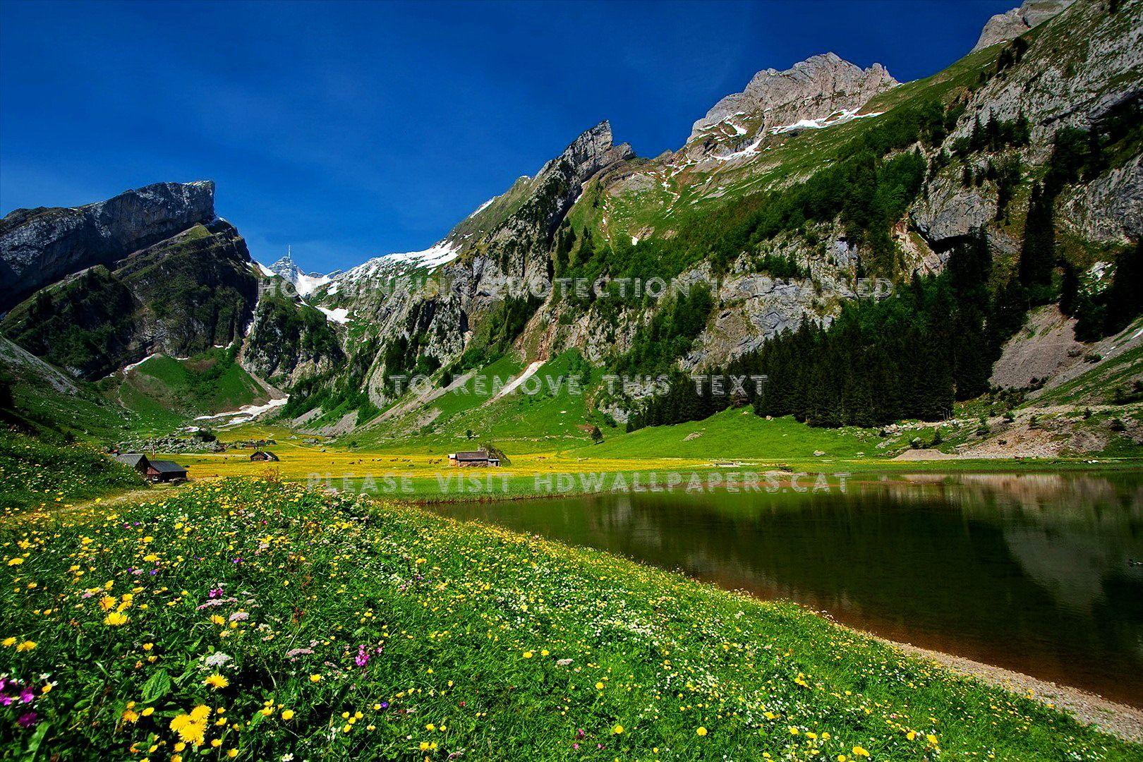 1620x1080 swiss alps lovely lake cabin nice grass sky