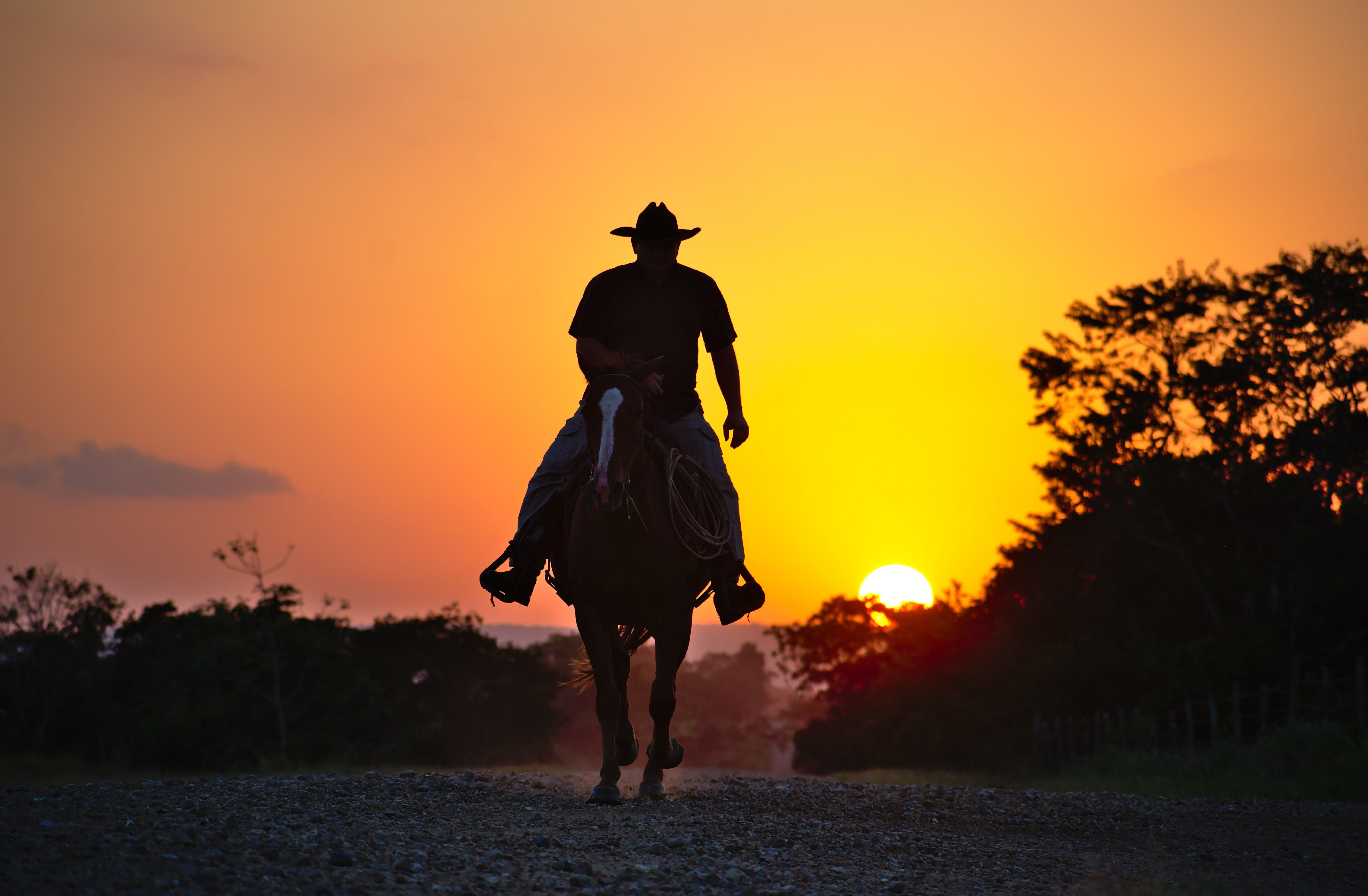 Hình nền Ultra HD 5897x3862 Sunset Ride 5k Retina Ultra HD.  Hình nền https://wallpaperaccess.com/full/3371008.jpg