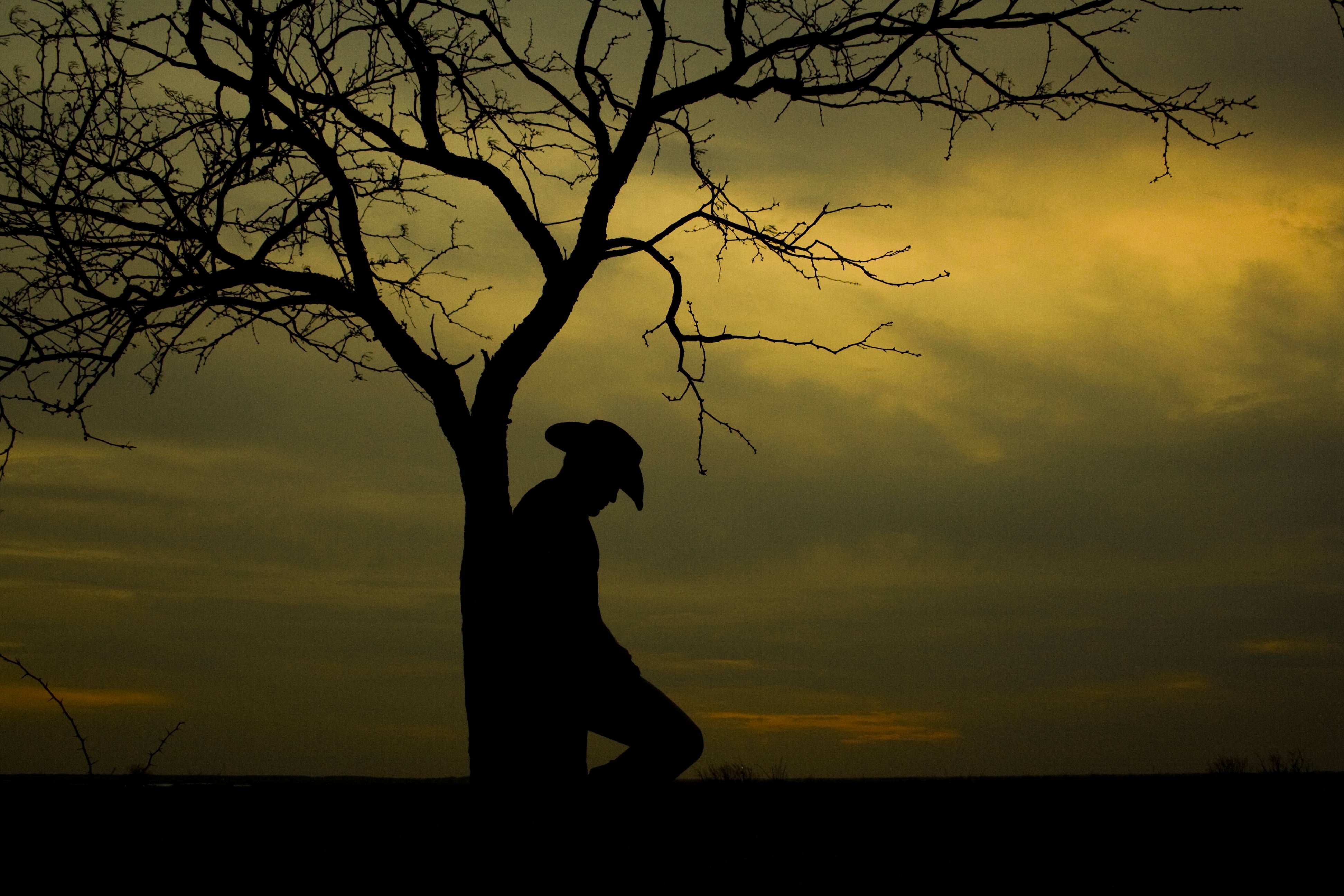 3888x2592 Cowboy hình nền miễn phí https://wallpaperaccess.com/full/3371149.jpg