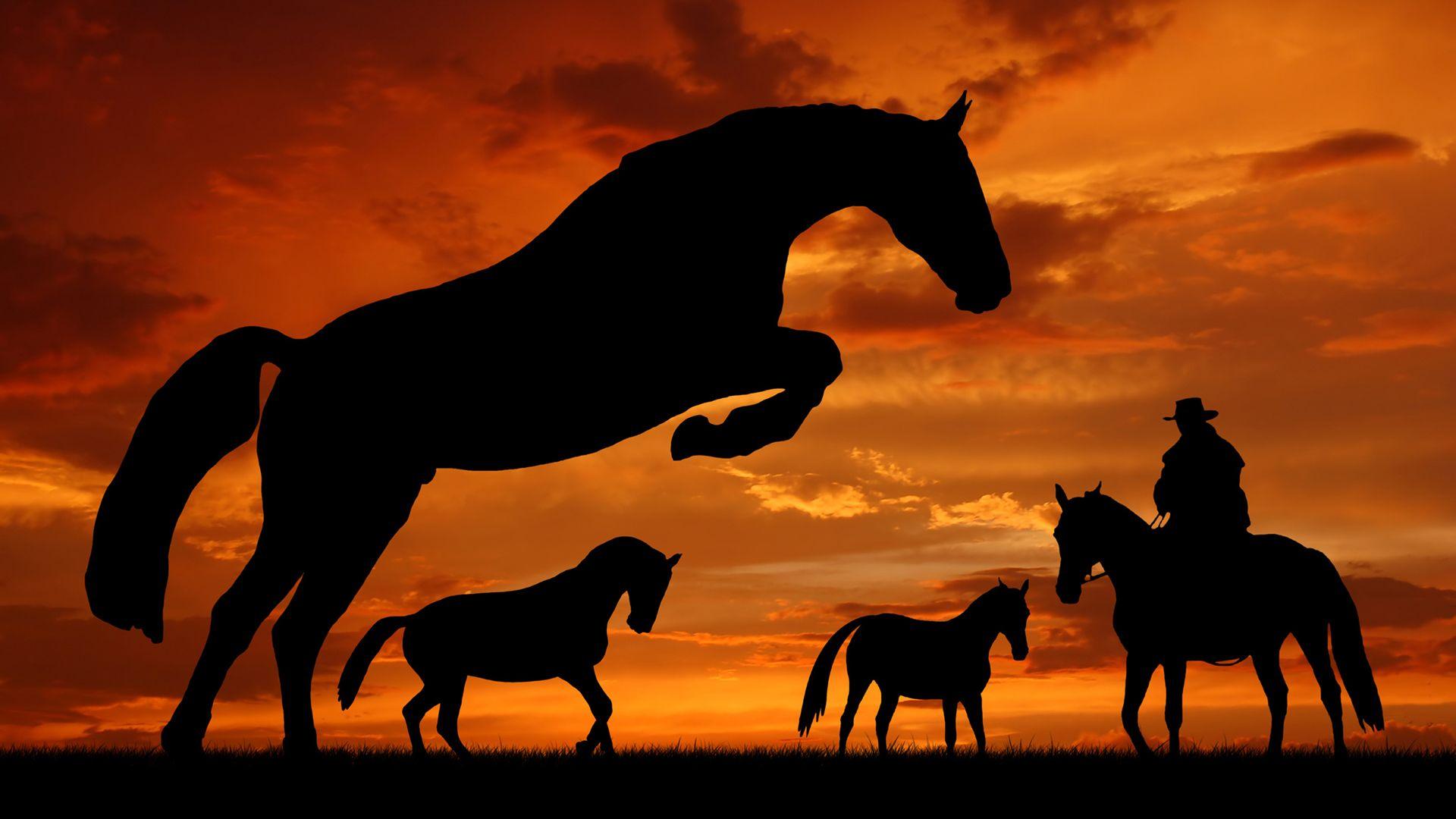 Cowboy Sunset Wallpapers Top Free Cowboy Sunset Backgrounds