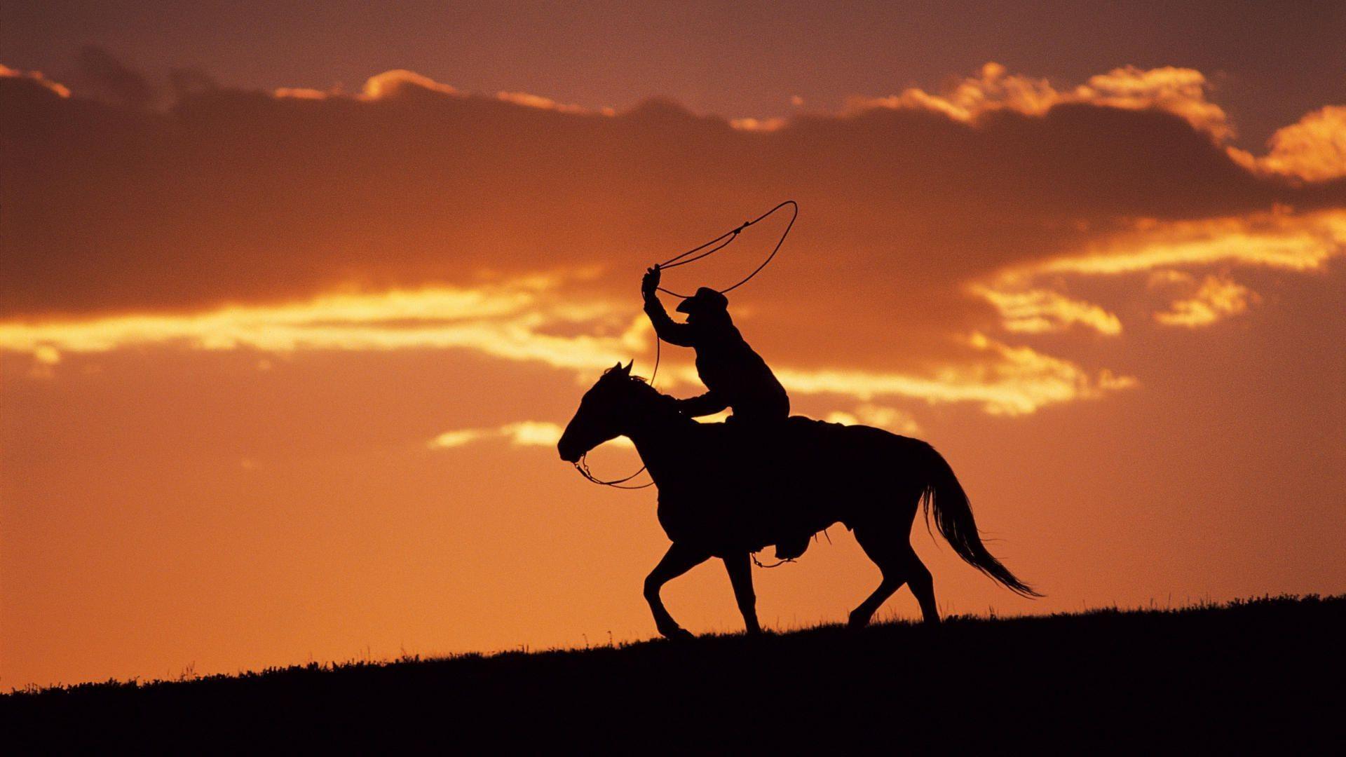 1920x1080 Bóng đêm cao bồi Lasso the Horse https://wallpaperaccess.com/full/3371334.jpg