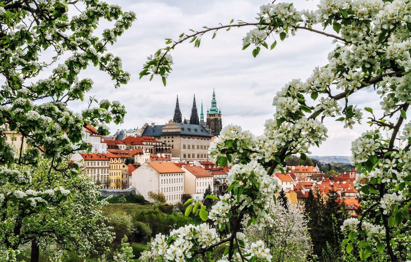 Prague Spring Wallpapers - Top Free Prague Spring Backgrounds -  WallpaperAccess