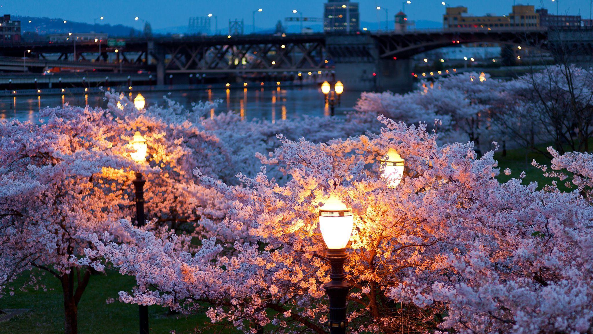 2048x1152 Download wallpaper 2048x1152 city, spring, night, evening, lights