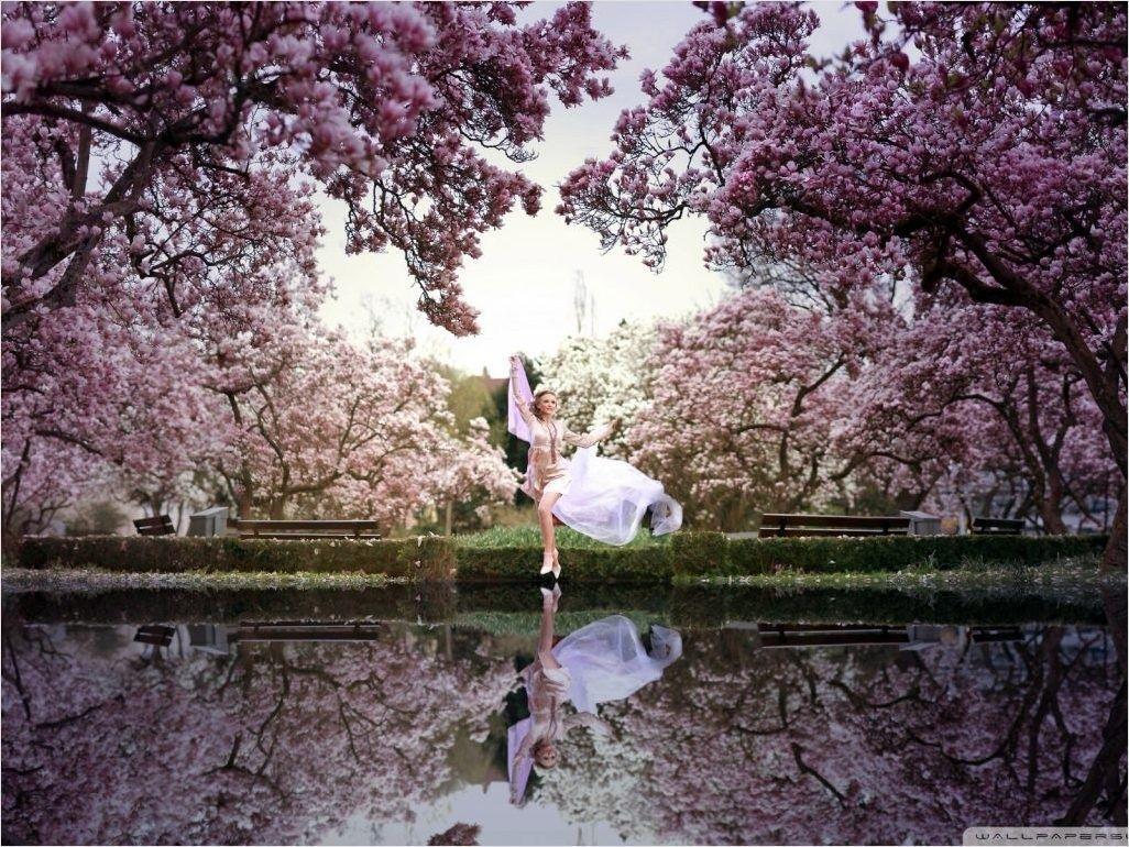 1026x770 Spring Paradise