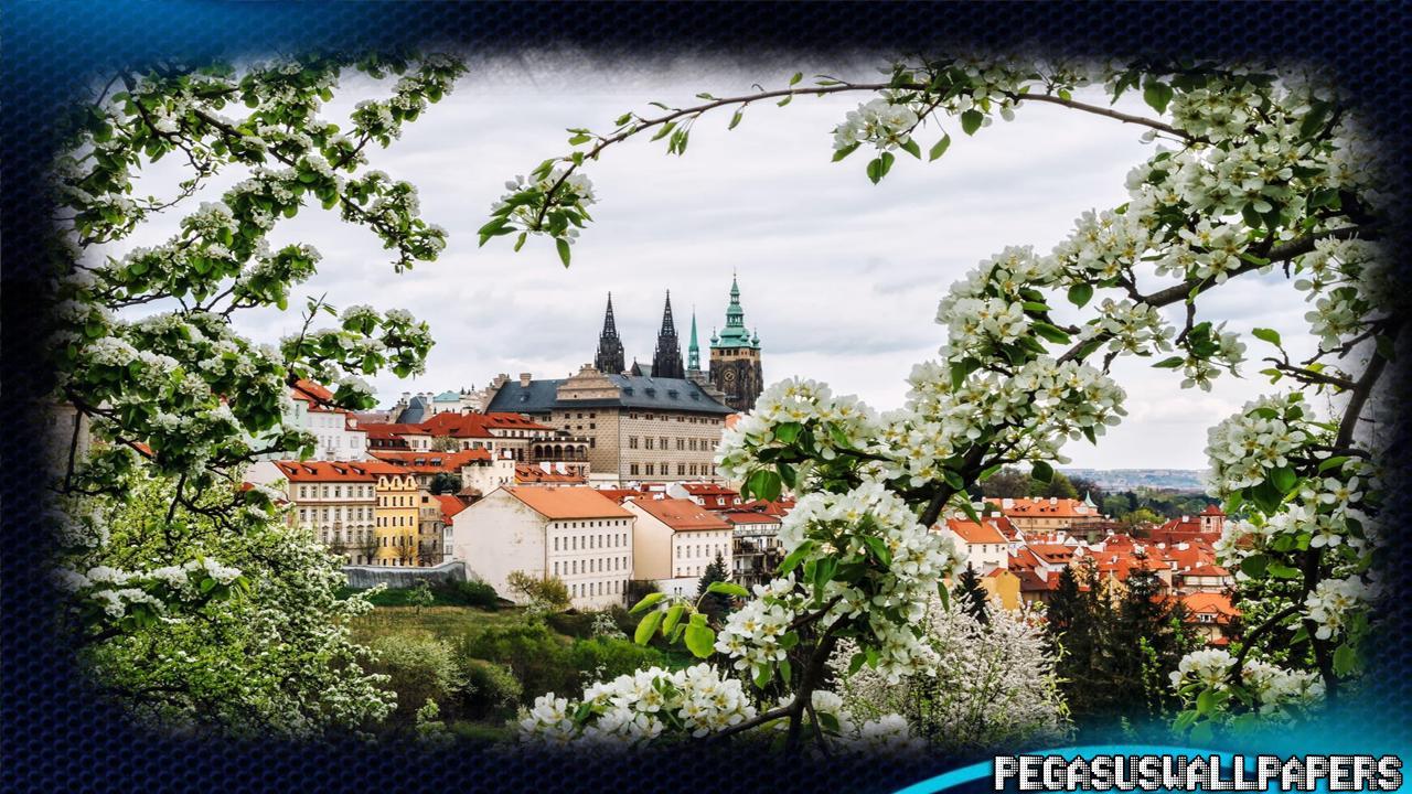 1280x720 Prague Wallpaper for Android