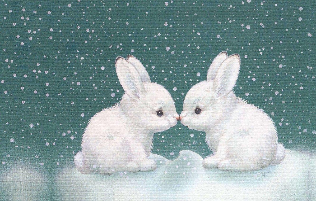 Winter Bunny Wallpapers Top Free Winter Bunny Backgrounds Wallpaperaccess