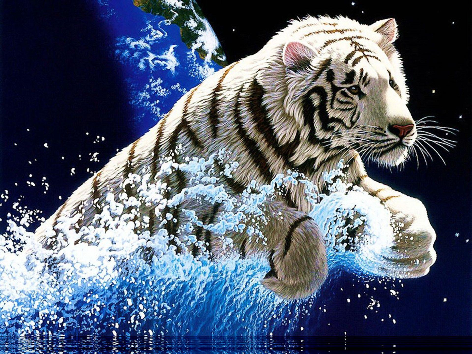 Cool White Tiger Wallpapers - Top Free Cool White Tiger Backgrounds ...