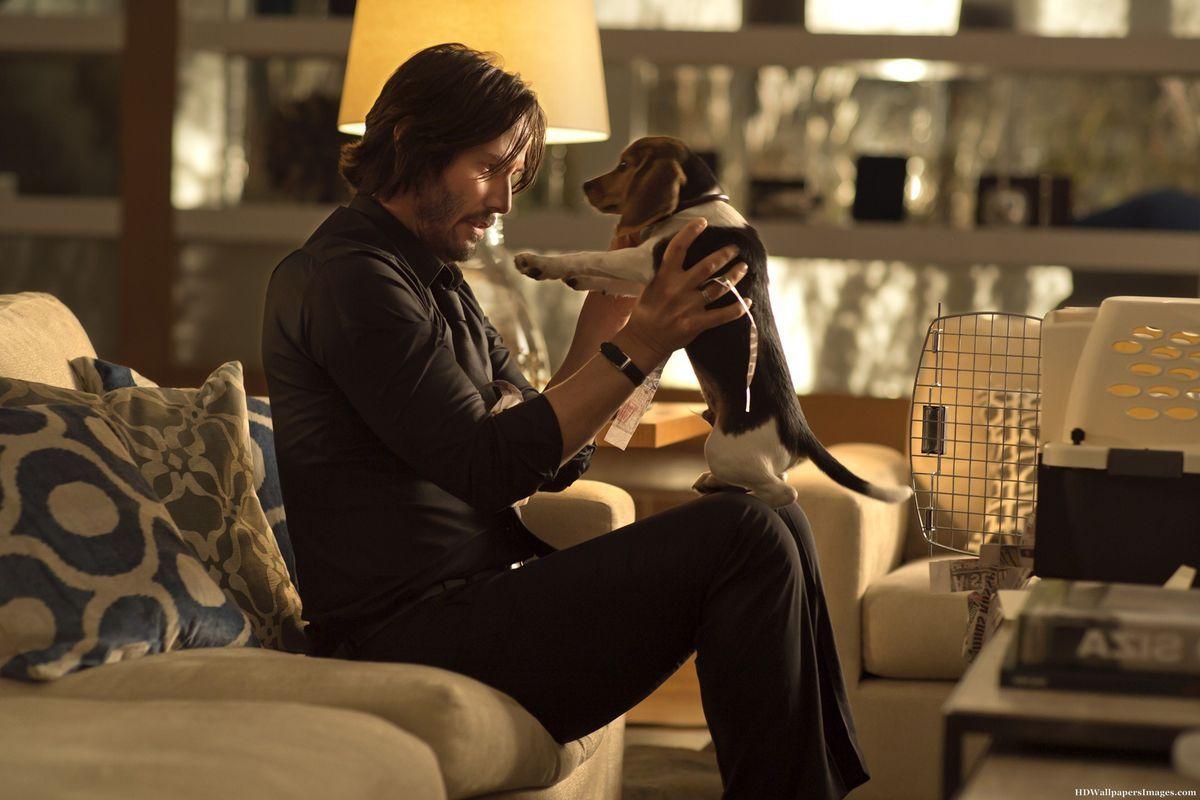 1200x800 Starz Is Turning 'John Wick' Into a TV Series