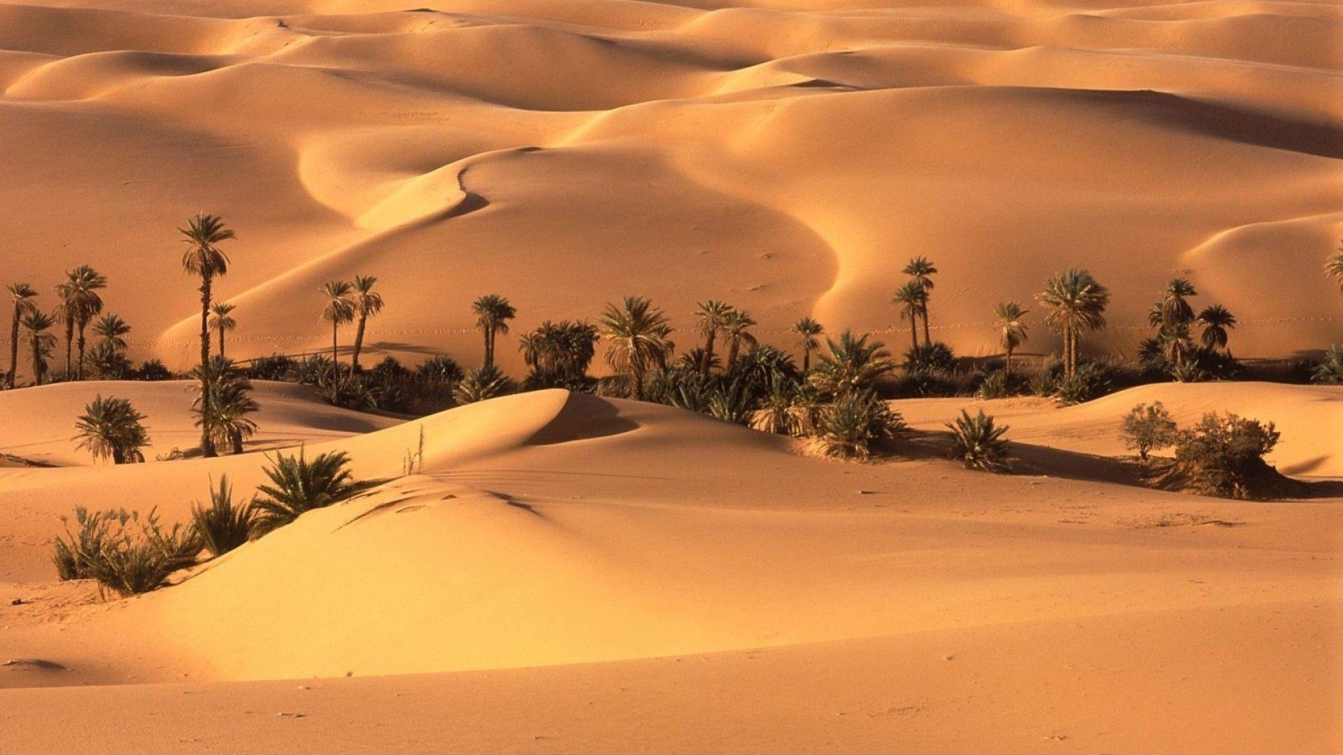 1920x1080 Best Desert Nature Wallpaper Background Wide