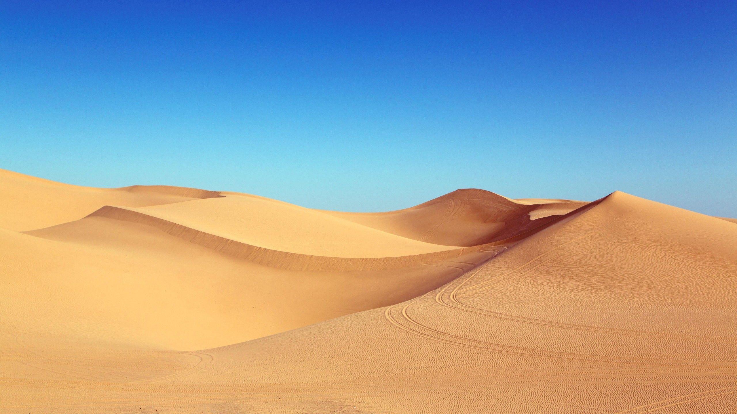 2560x1440 Wallpaper desert, 5k, 4k wallpaper, 8k, sand, algodones dunes