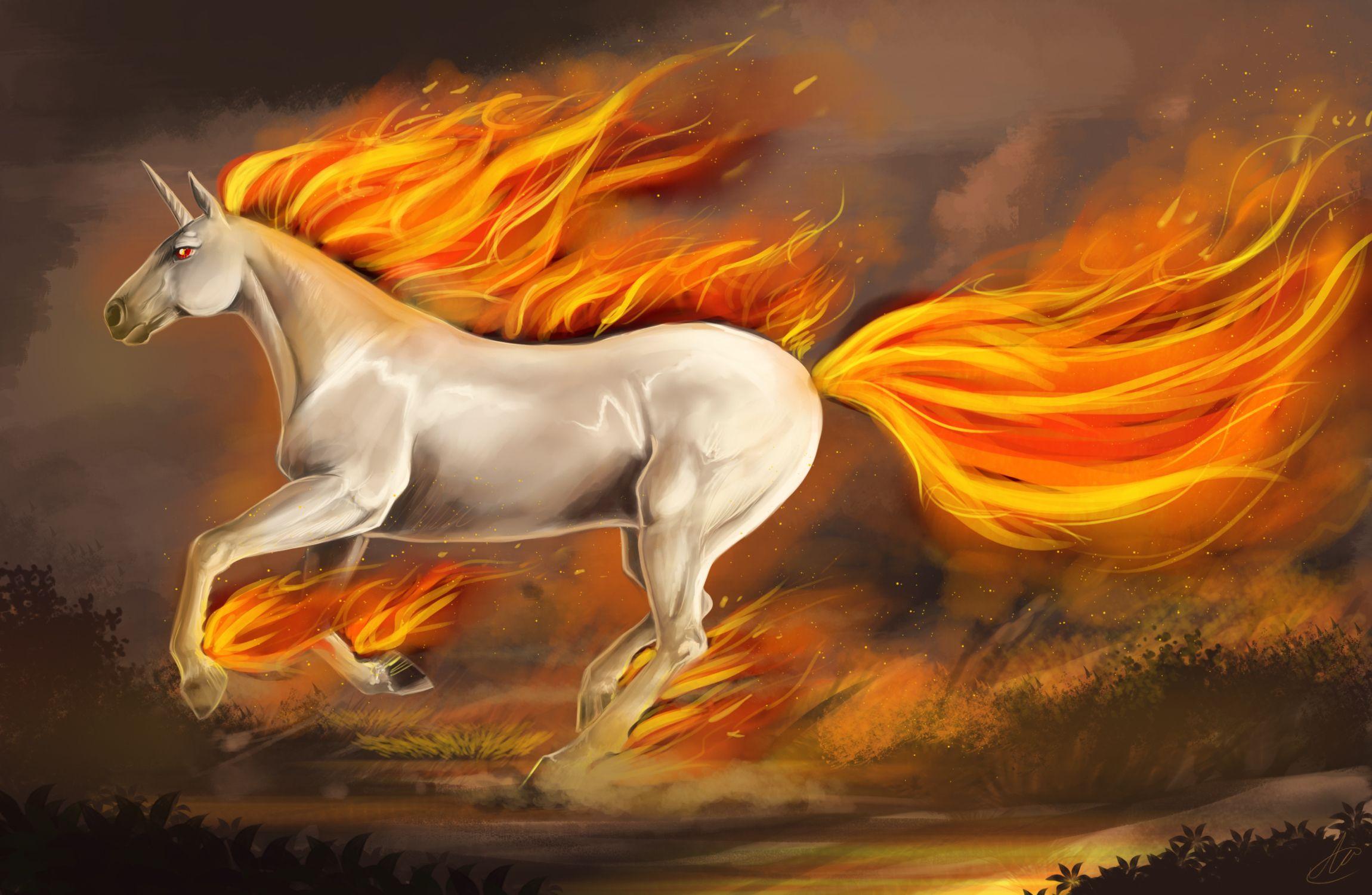 2300x1500 For Your Desktop: 47 Top Quality Unicorn Wallpaper, BsnSCB