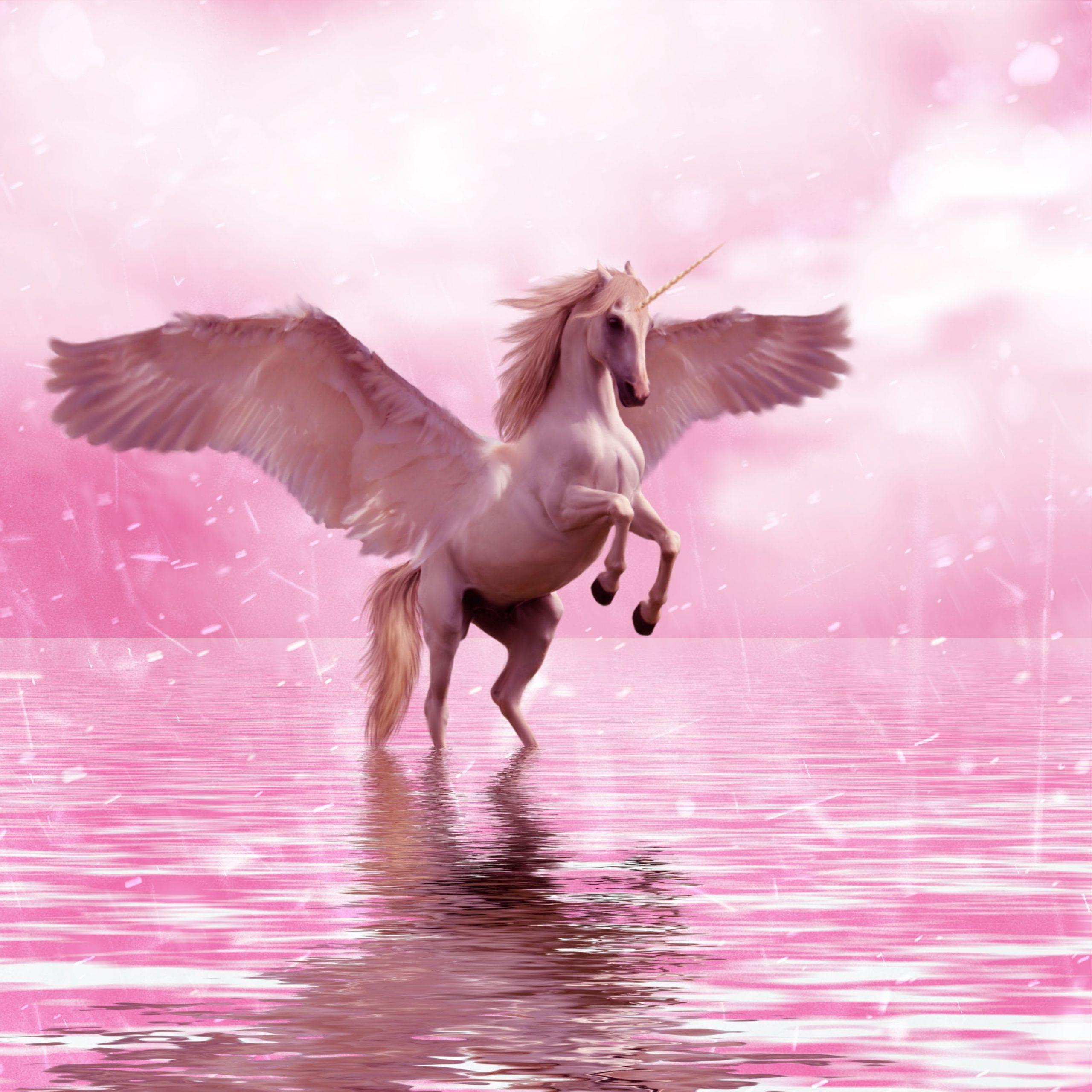 2560x2560 Unicorn on body of water wallpaper, wings, horse, fantasy, animal • Wallpaper For You HD Wallpaper For Desktop & Mobile